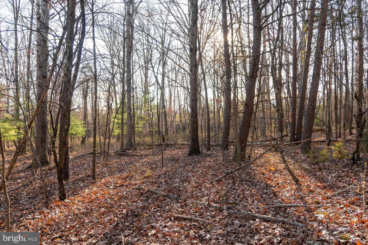 EGYPT BEND ESTATES - Land