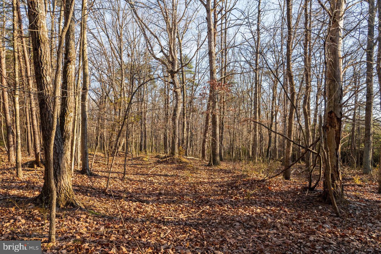 EGYPT BEND ESTATES - Land