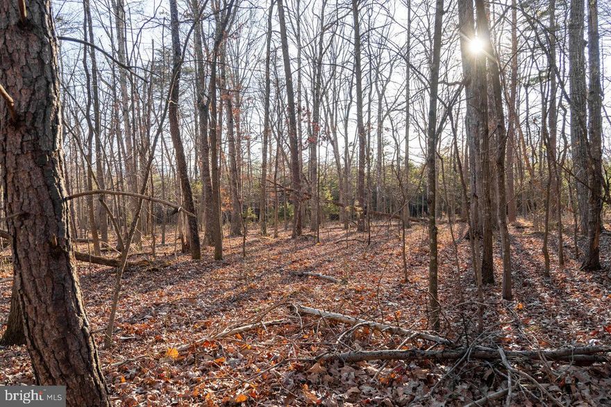 Discover this stunning 1.61-acre property in the tranquil Egypt Bend subdivision, offering a unique opportunity to build your ideal home or weekend escape! This property features three adjoining lots being sold together, with the corners re-flagged in February 2026. Enjoy access to community water and the serene beauty of the Shenandoah River, just a mile away, with expansive mountain views all around. Ideally located near the famous Luray Caverns and the quaint downtown Luray, this peaceful, well-established community provides the perfect setting for both relaxation and convenience!