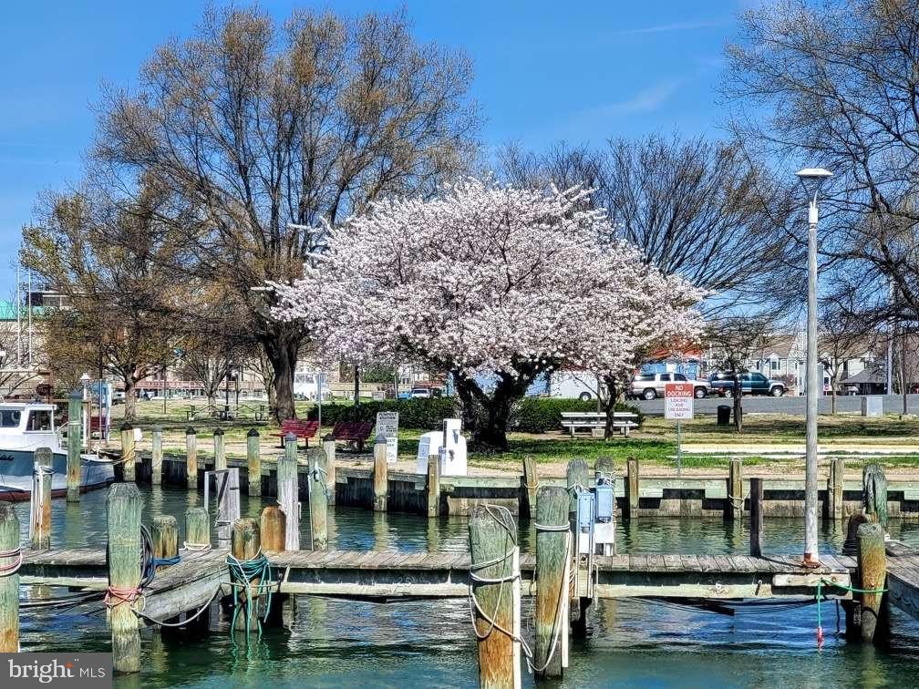 700 CATTAIL COVE 104