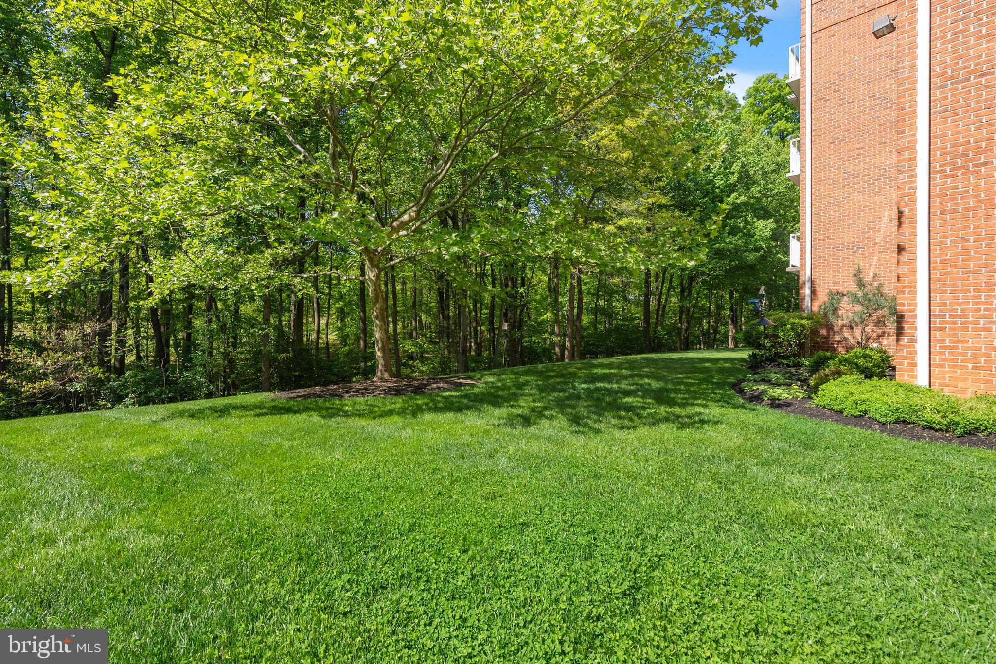 12105 TULLAMORE CT 204