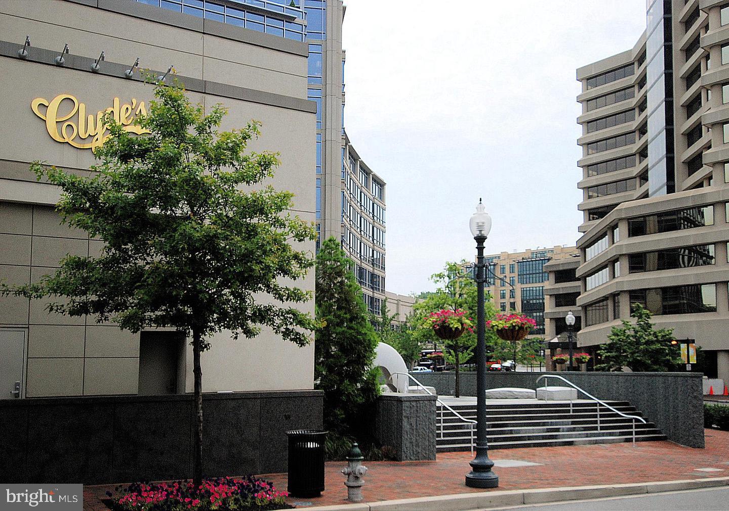 WILLOUGHBY OF CHEVY CHASE - Residential