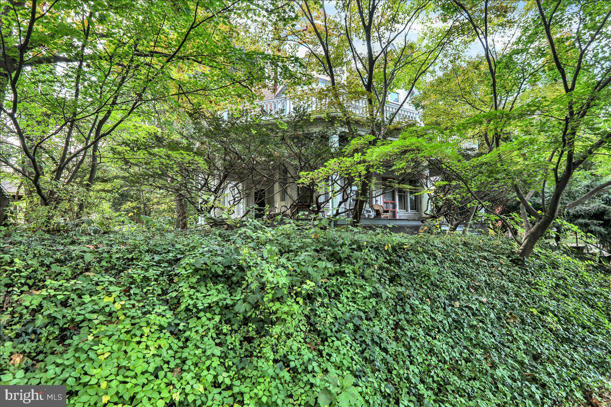 114 WYOMISSING BOULEVARD
