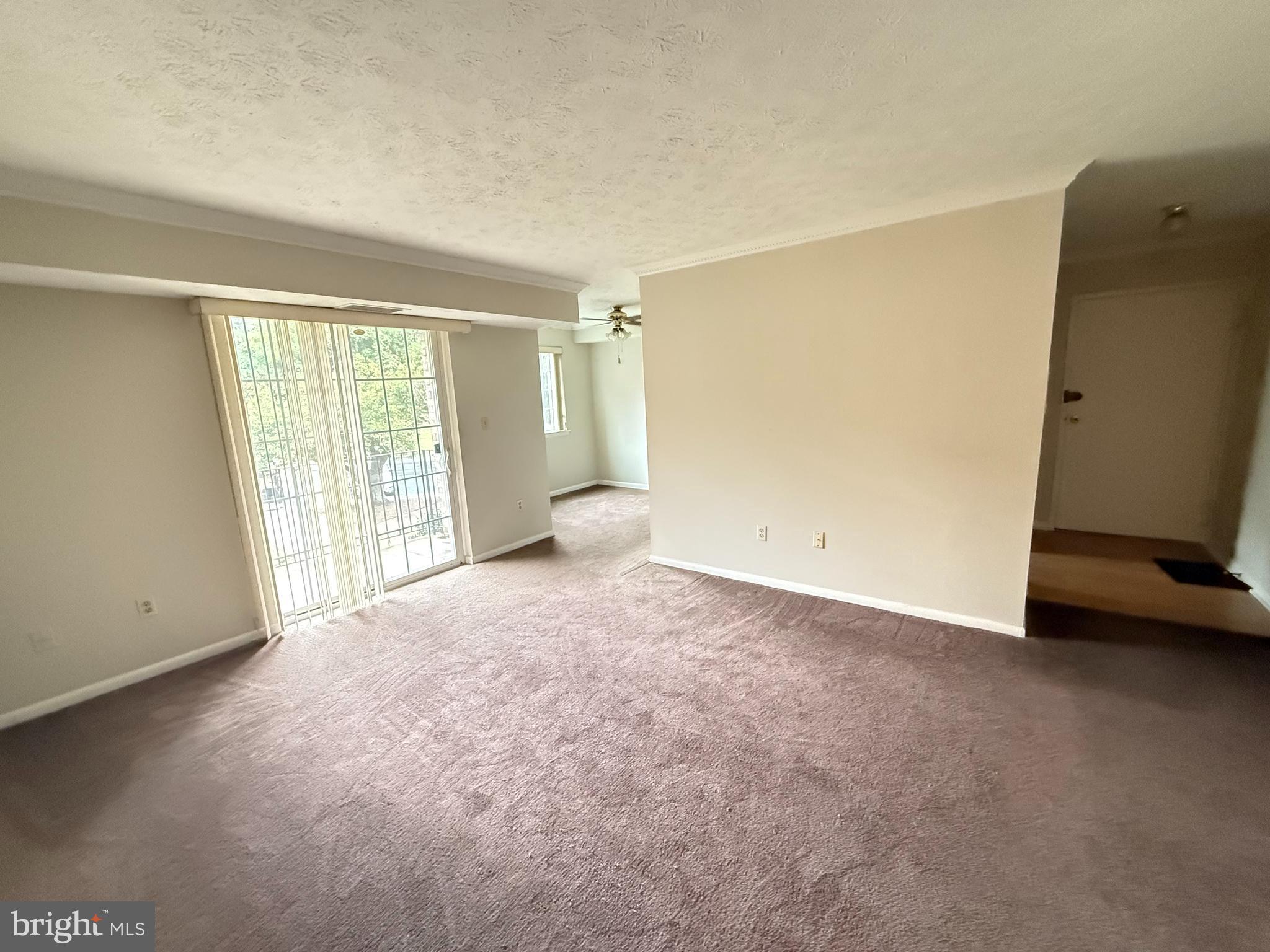 1523 COLONIAL DRIVE 204