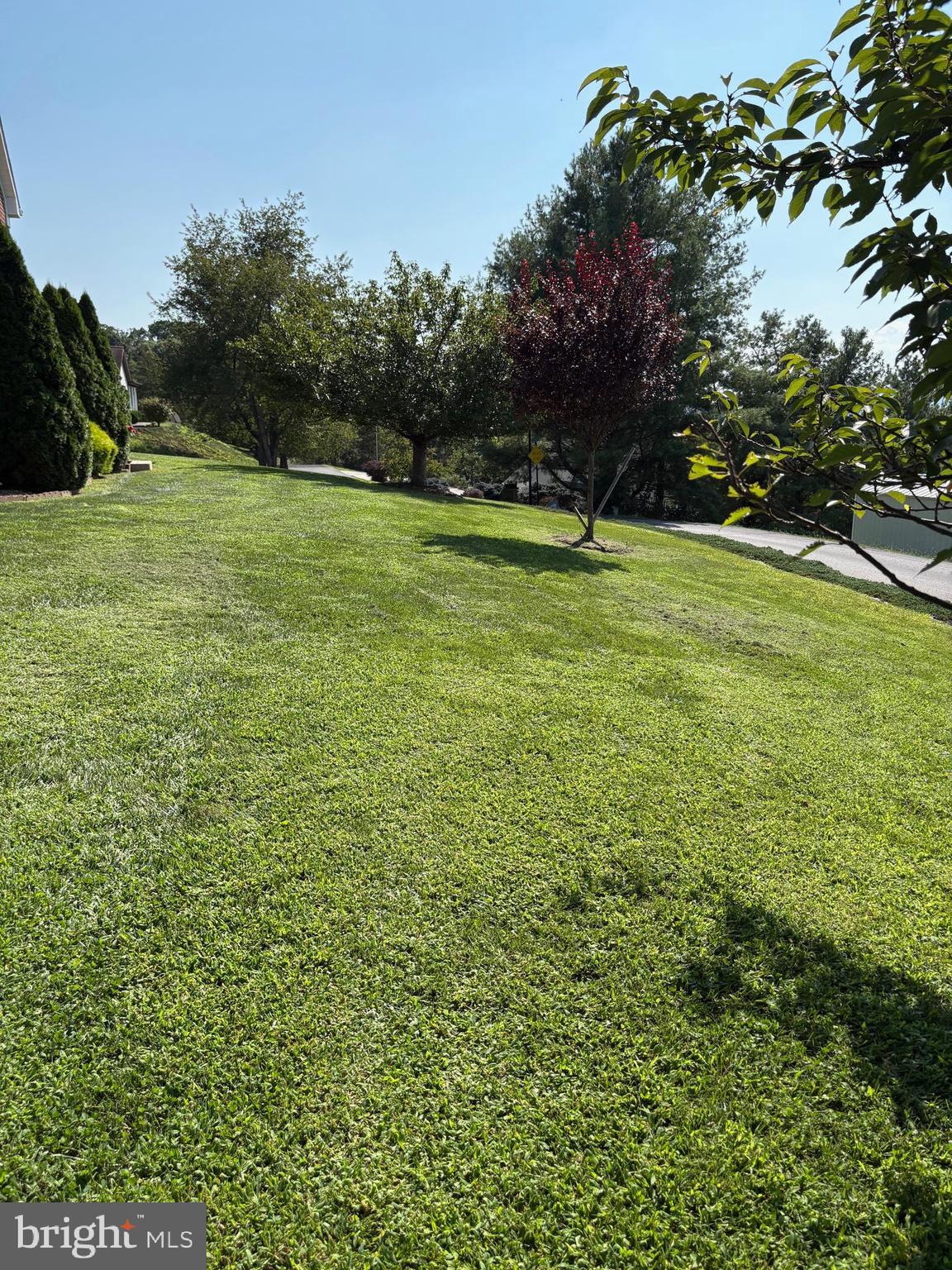 MOUNT VIEW ADDITION - Residential