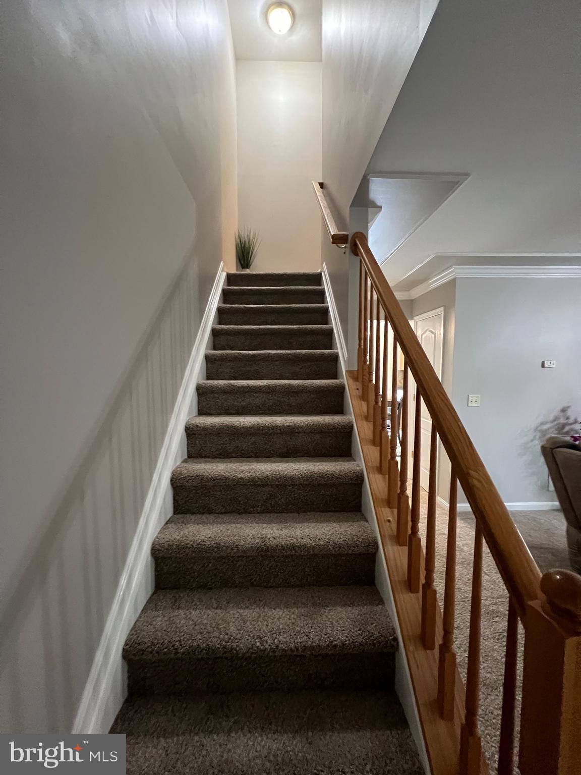 AMBER WOODS - Residential