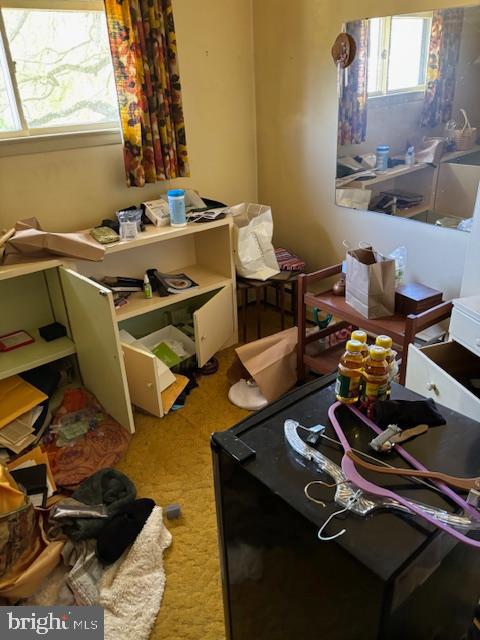 TALL TREES - Residential