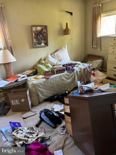 TALL TREES - Residential