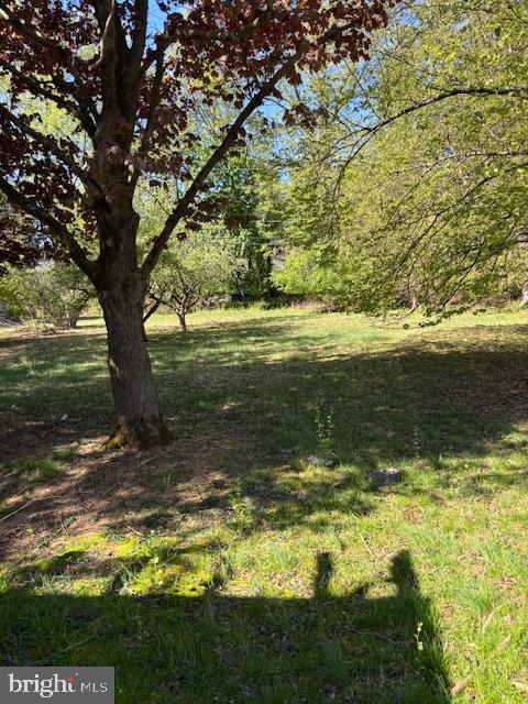 TALL TREES - Residential