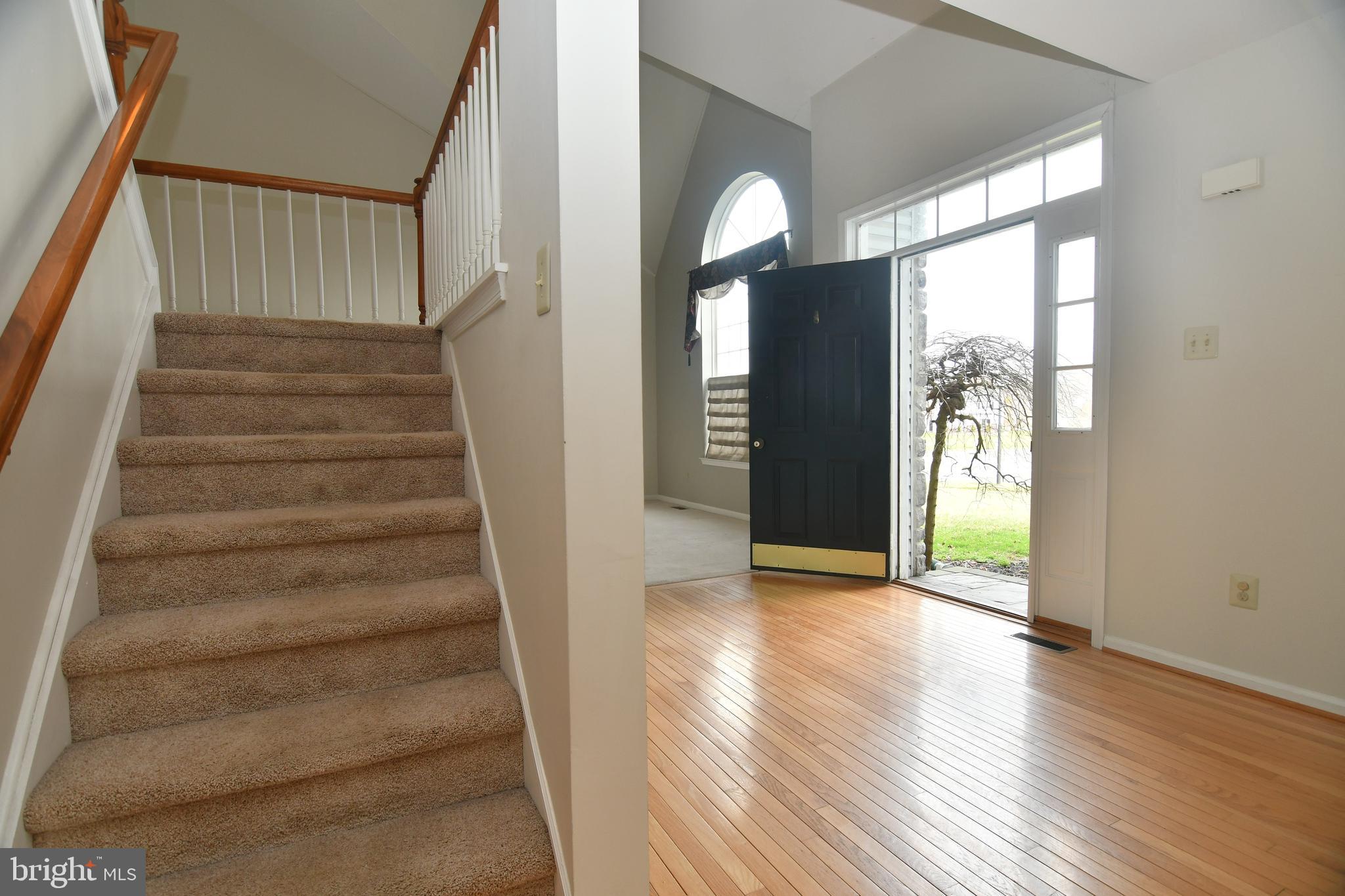 FOREST PARK - Residential