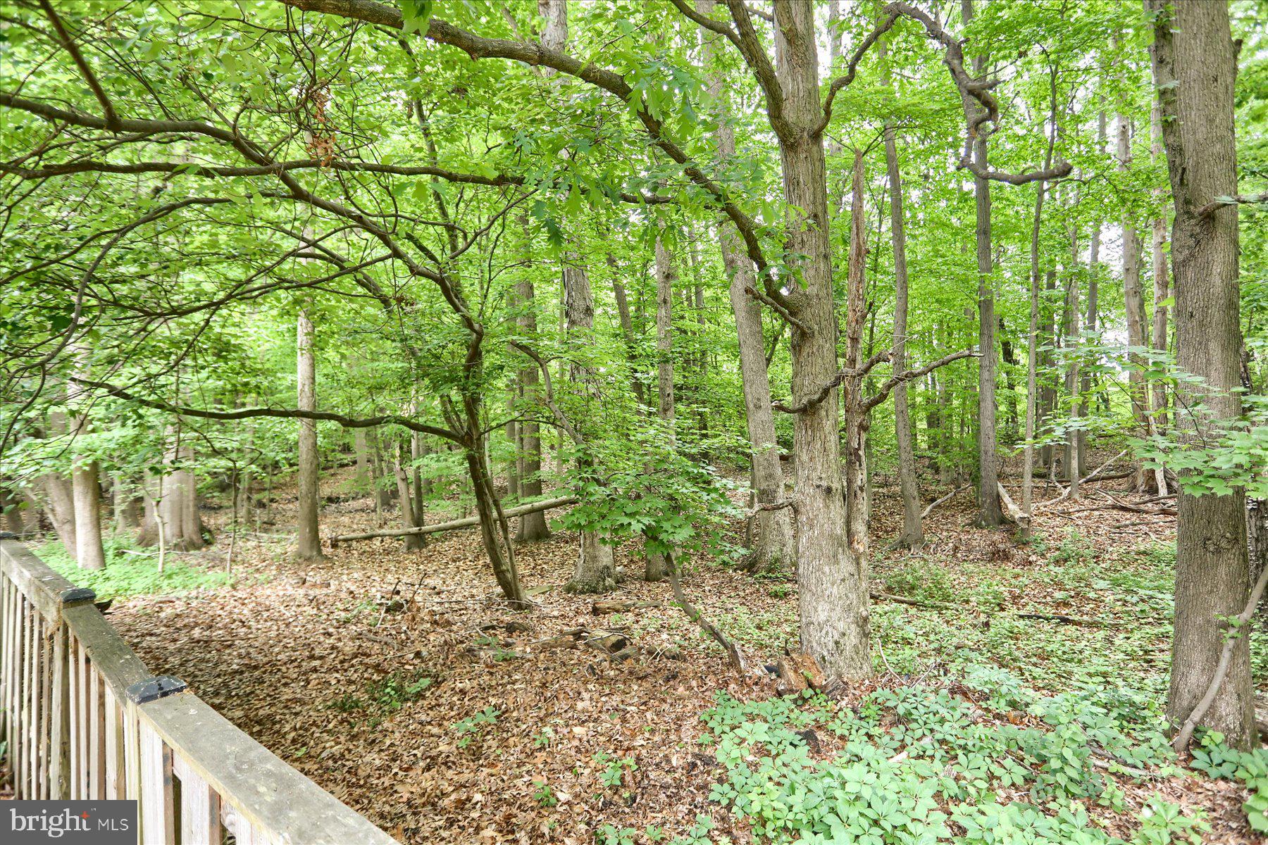 WOODS OF BAYVIEW - Residential