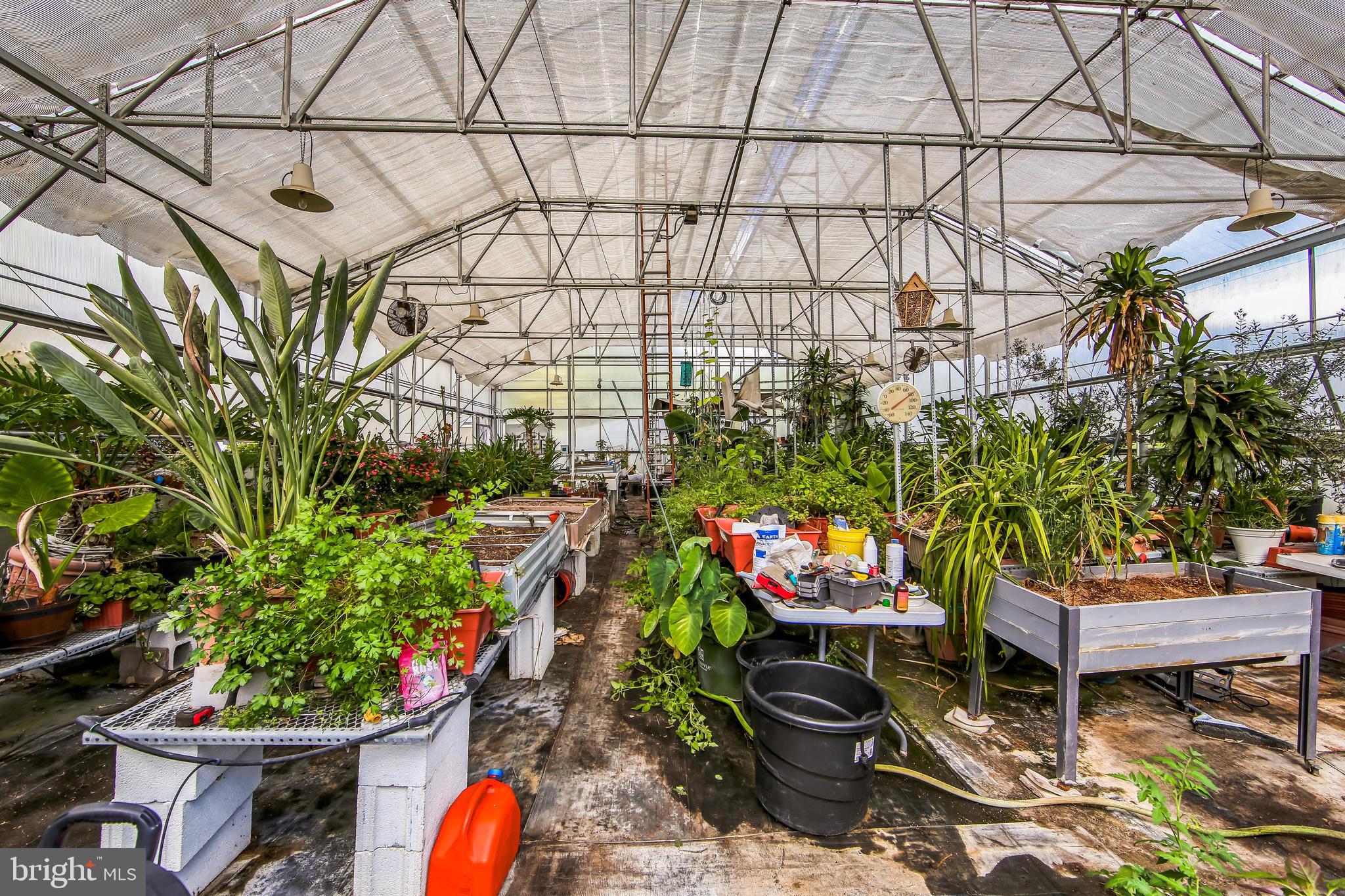 1096 DEXTER CORNER ROAD