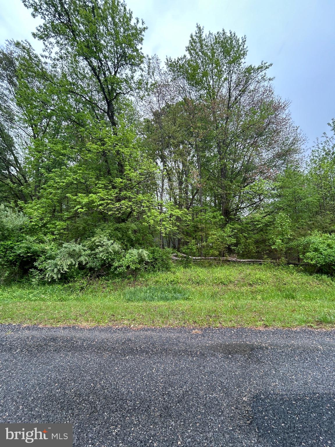 KINGLET ROAD