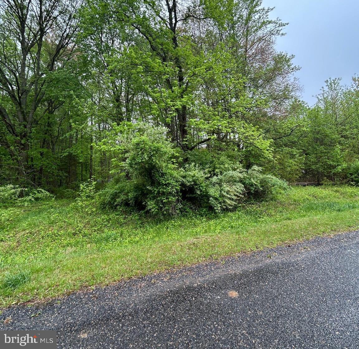 Recreational lot that can be used to garden or an extension of neighboring property. Perc test failed and not buildable. Any reasonable offer considered!