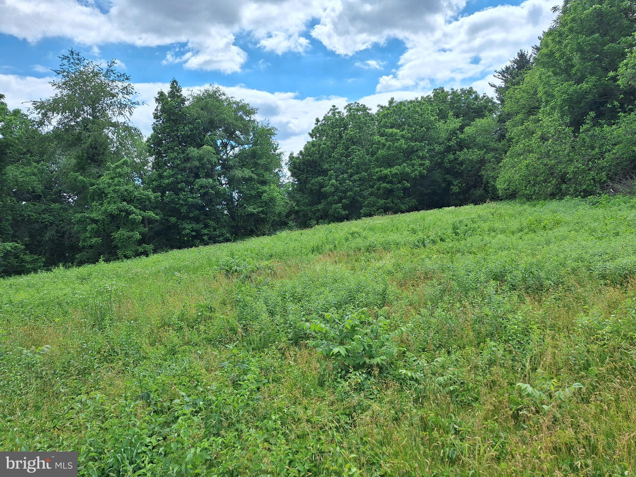 0 PLEASANT VIEW ROAD