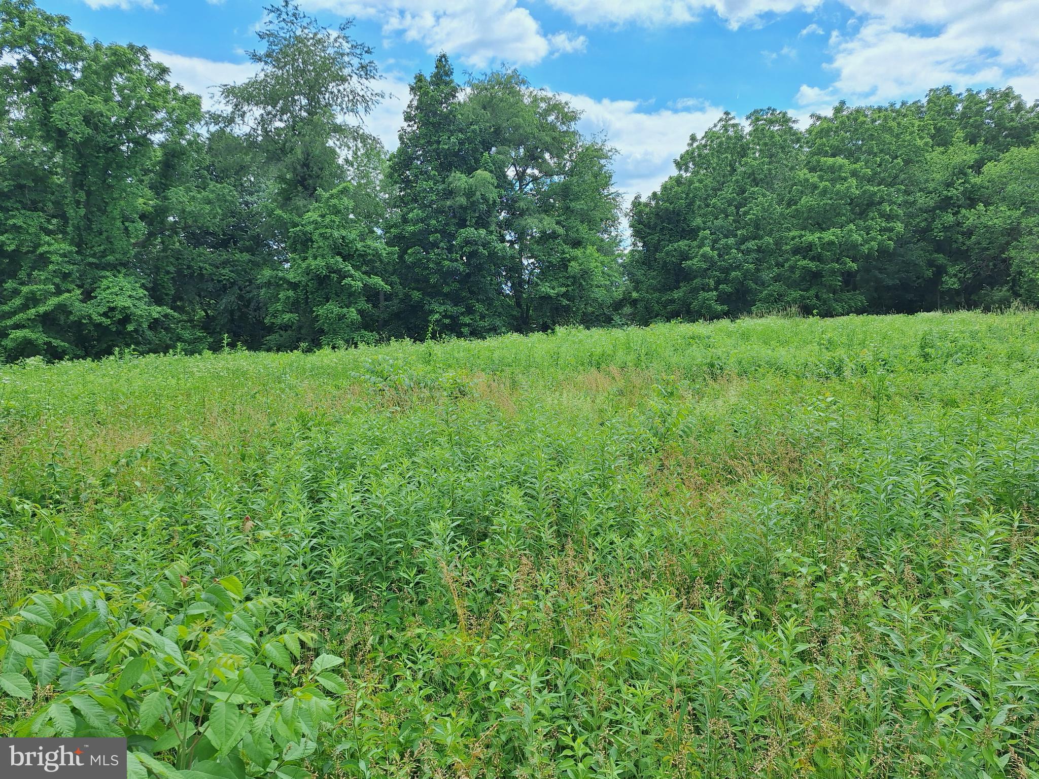 0 PLEASANT VIEW ROAD