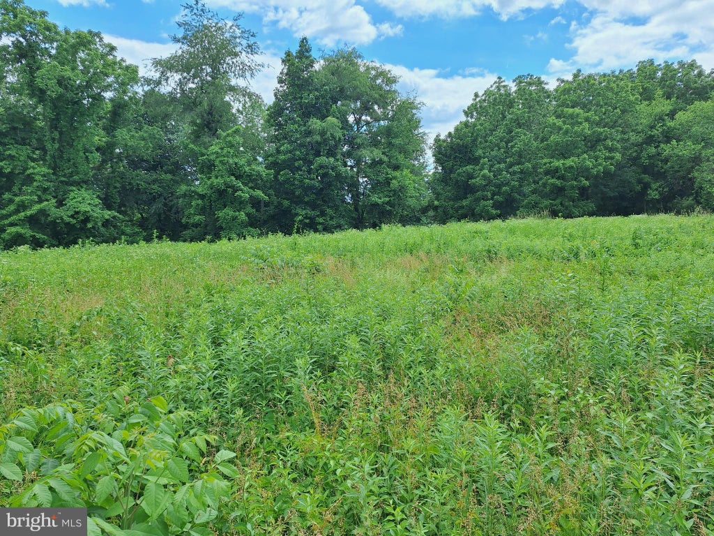 Photo of 0 Pleasant View Road, GAP, PA 17527 (MLS # PALA2089828)