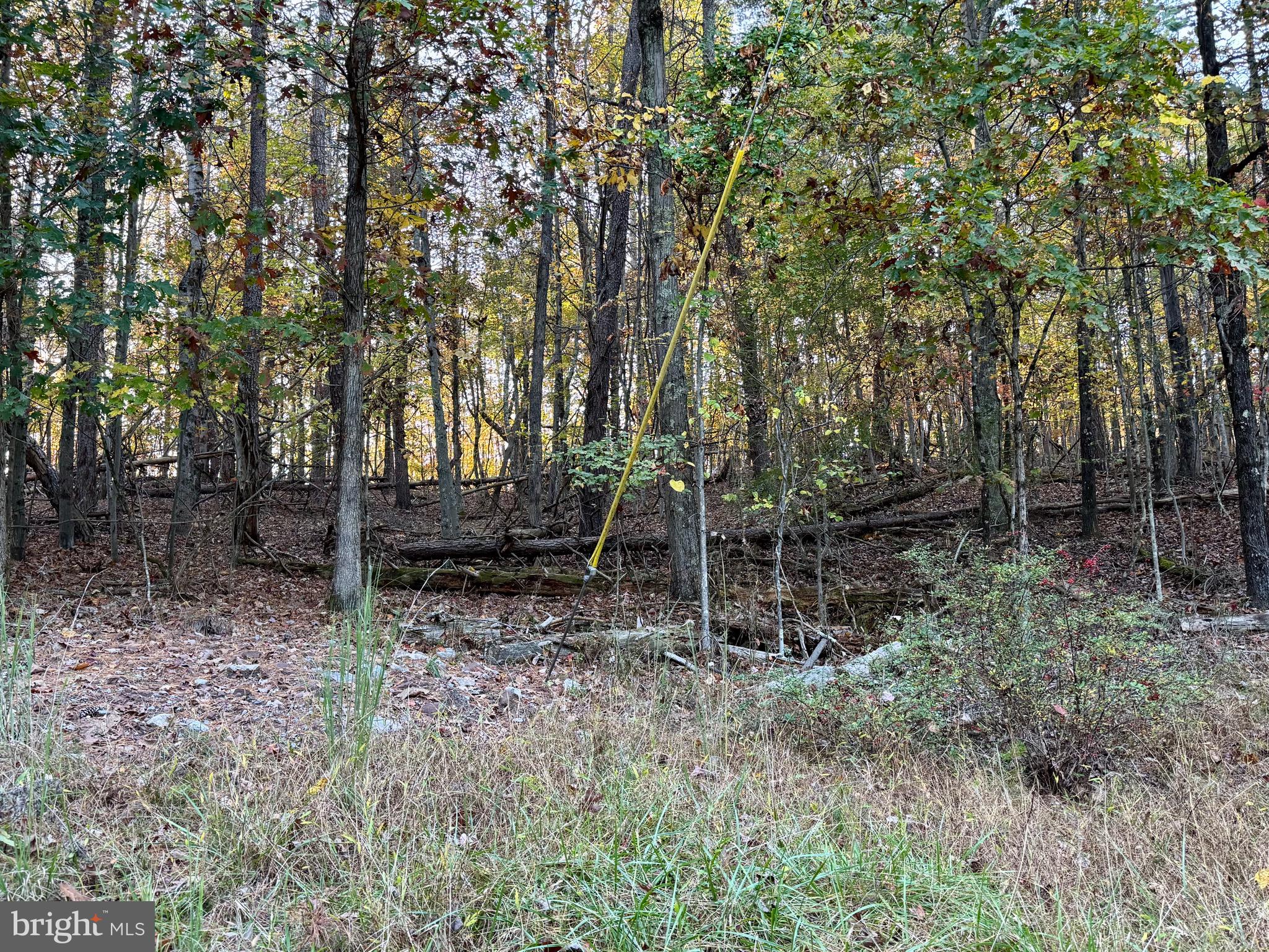 MOUNTAIN LICK RUN - Land