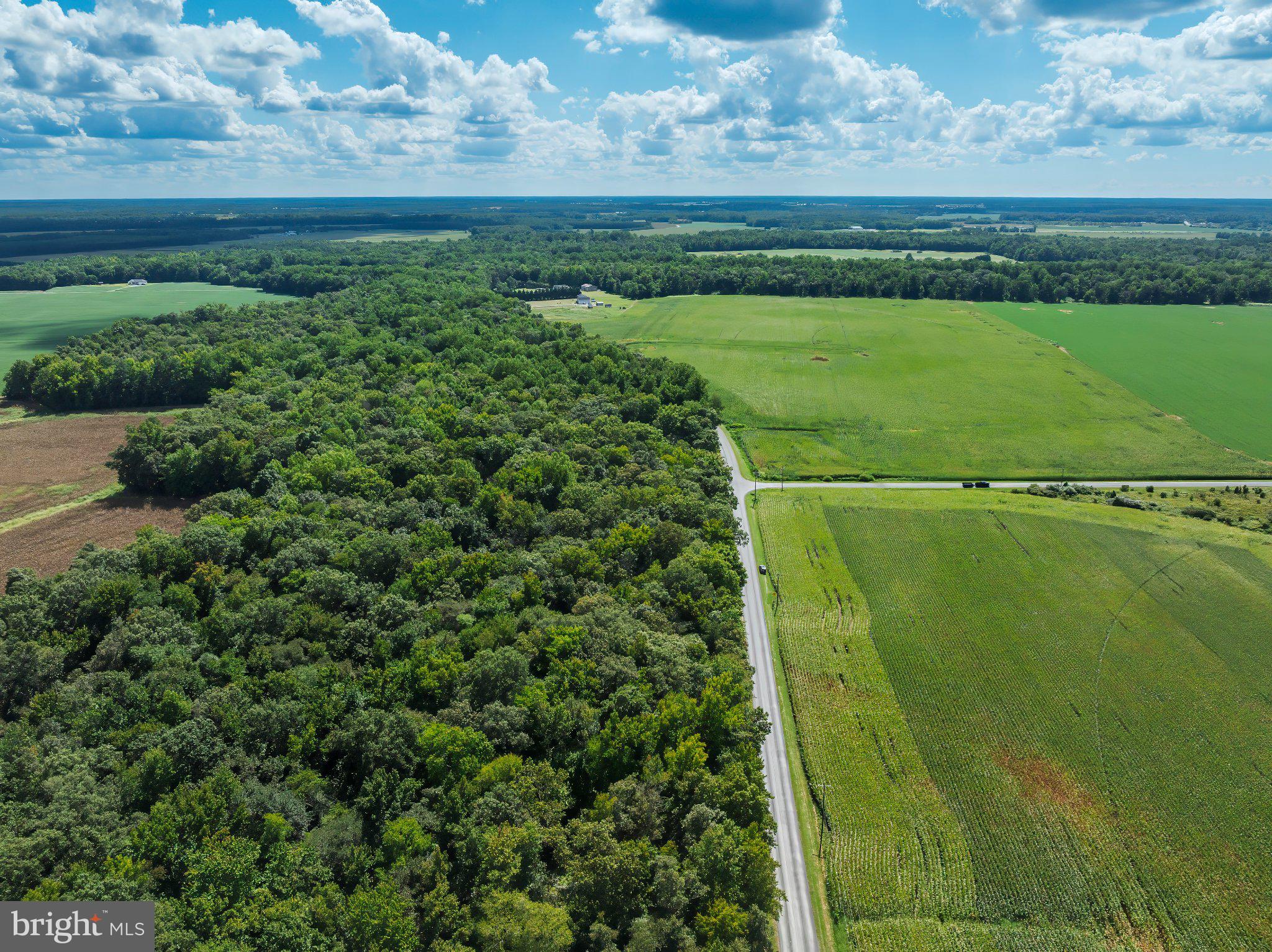 lot 4 RIVER ROAD