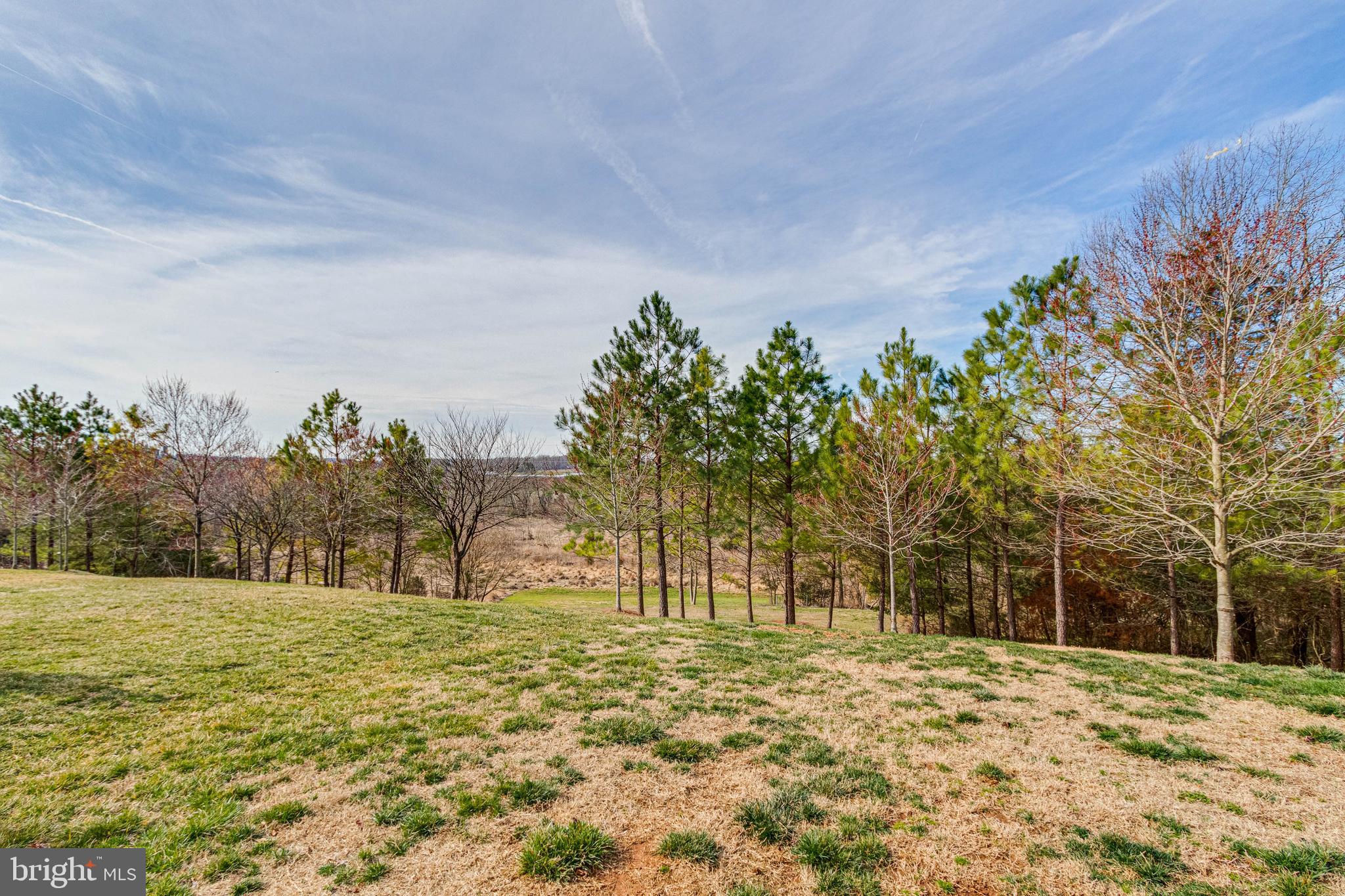 MEADOWS AT MORRIS FARM - Residential
