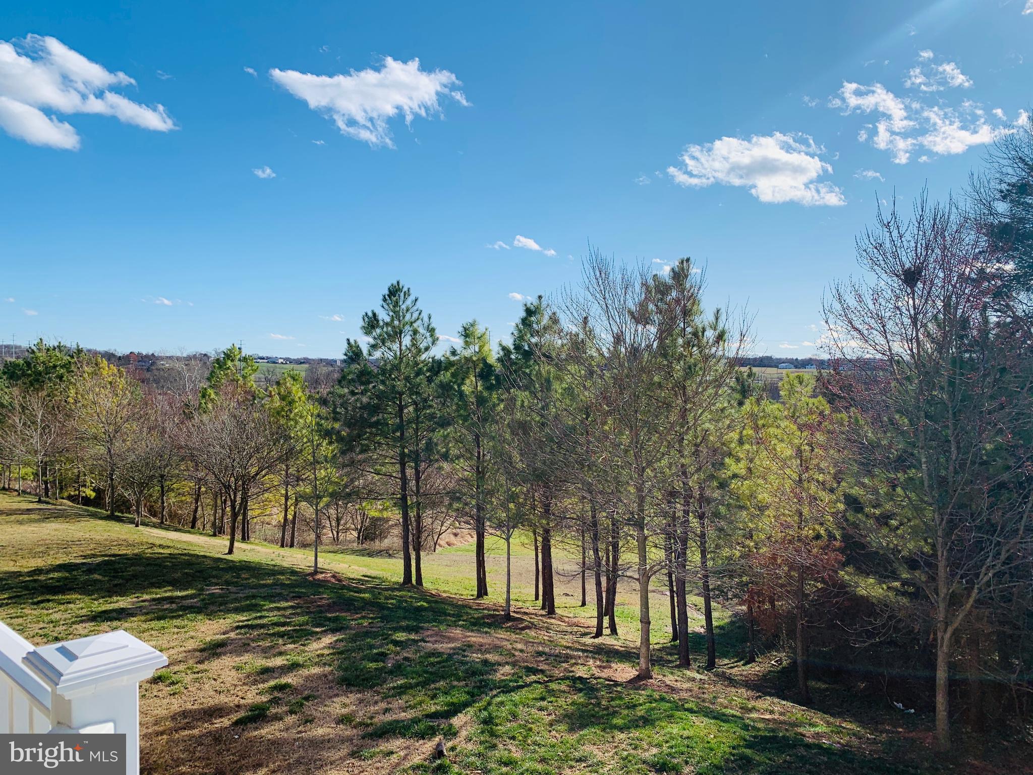 MEADOWS AT MORRIS FARM - Residential