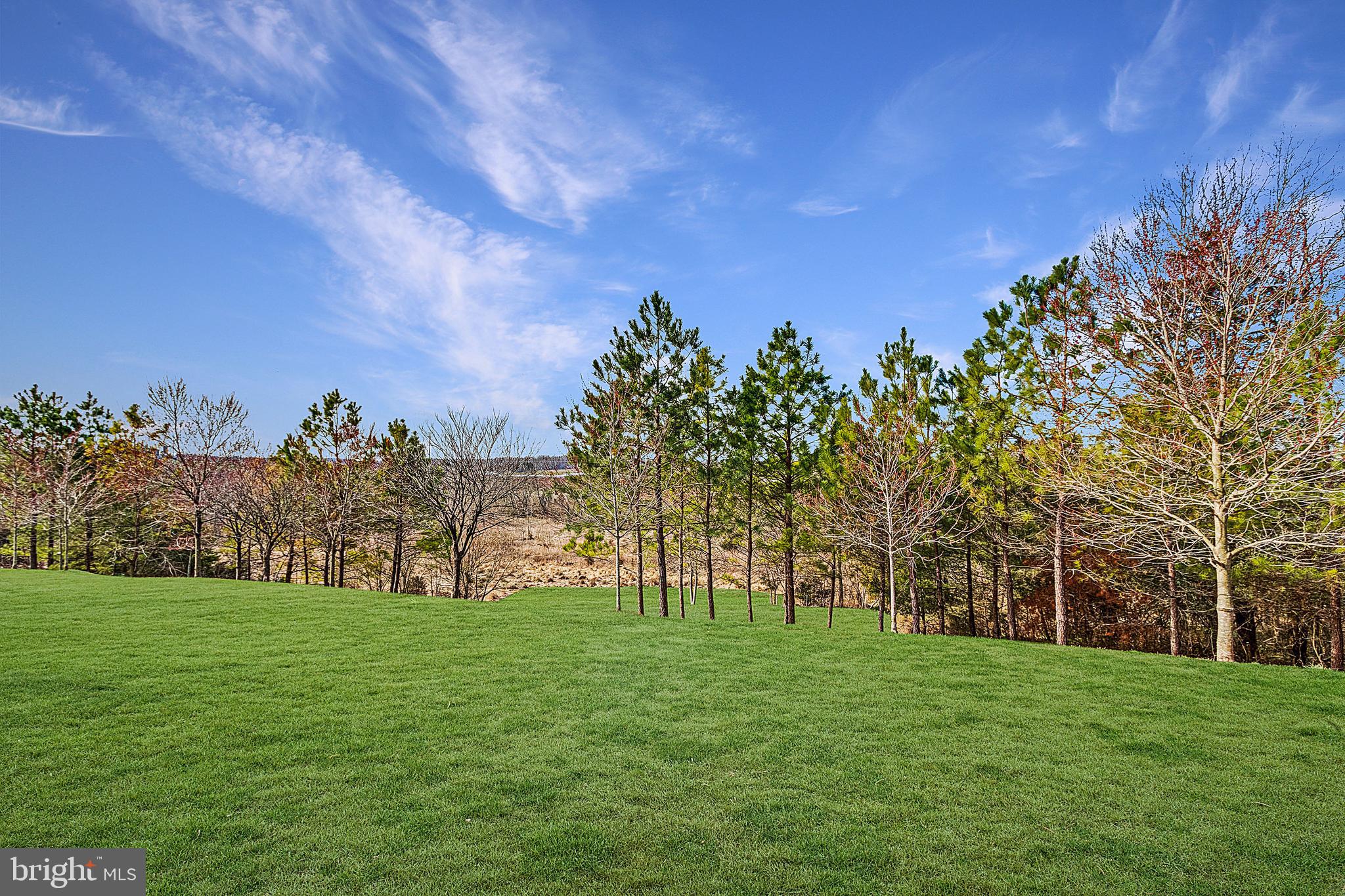 MEADOWS AT MORRIS FARM - Residential