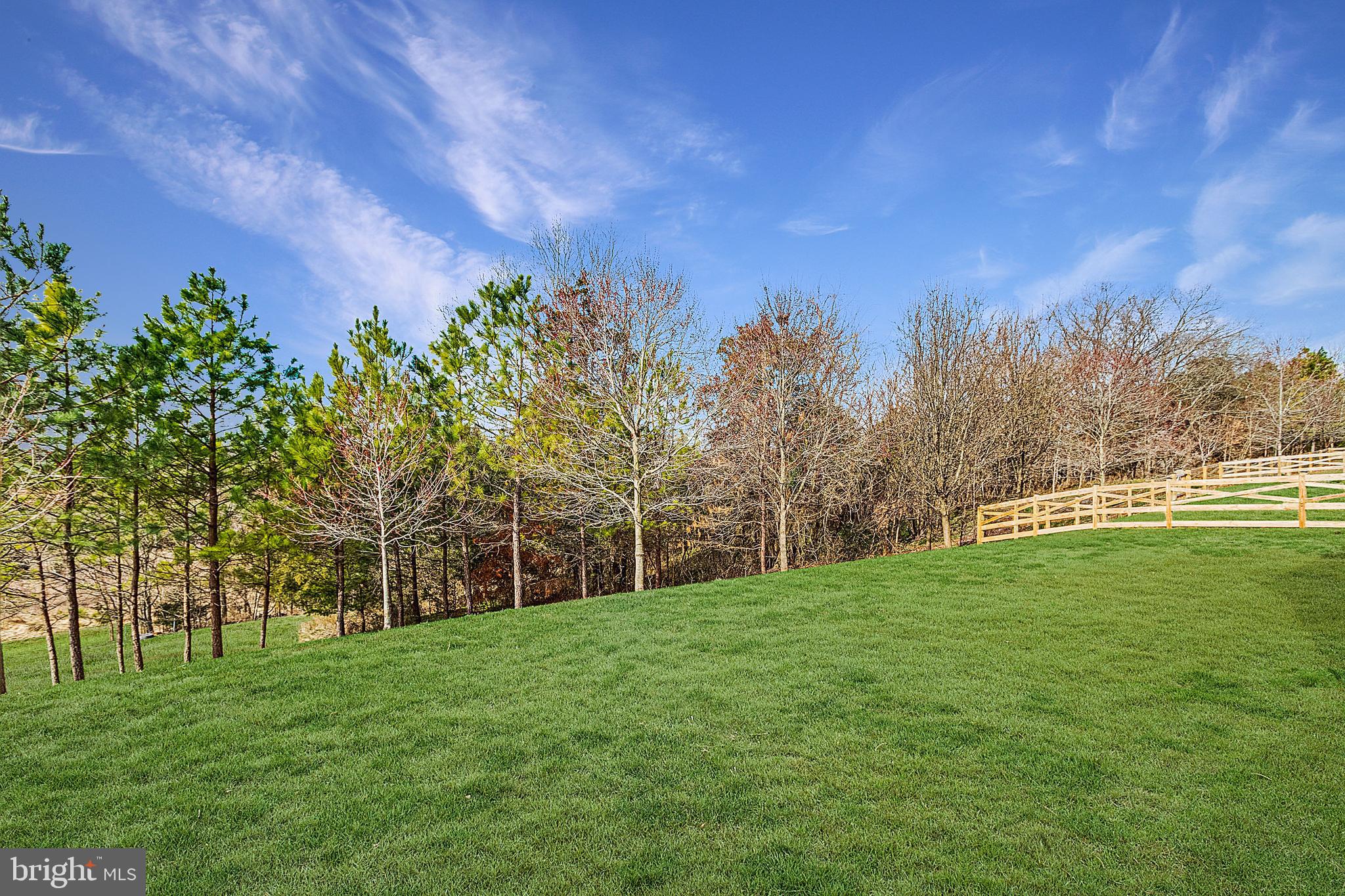 MEADOWS AT MORRIS FARM - Residential