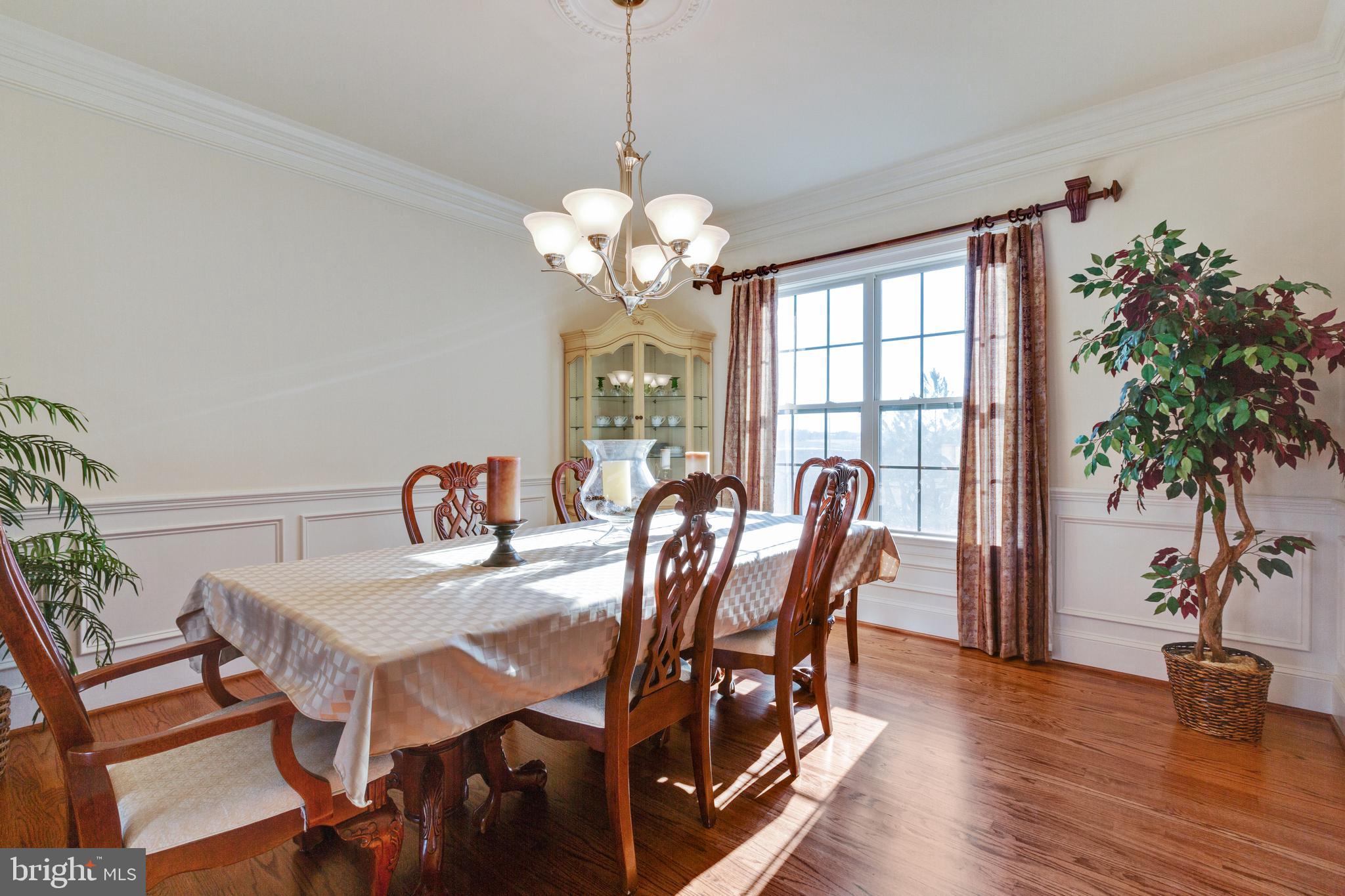 MEADOWS AT MORRIS FARM - Residential