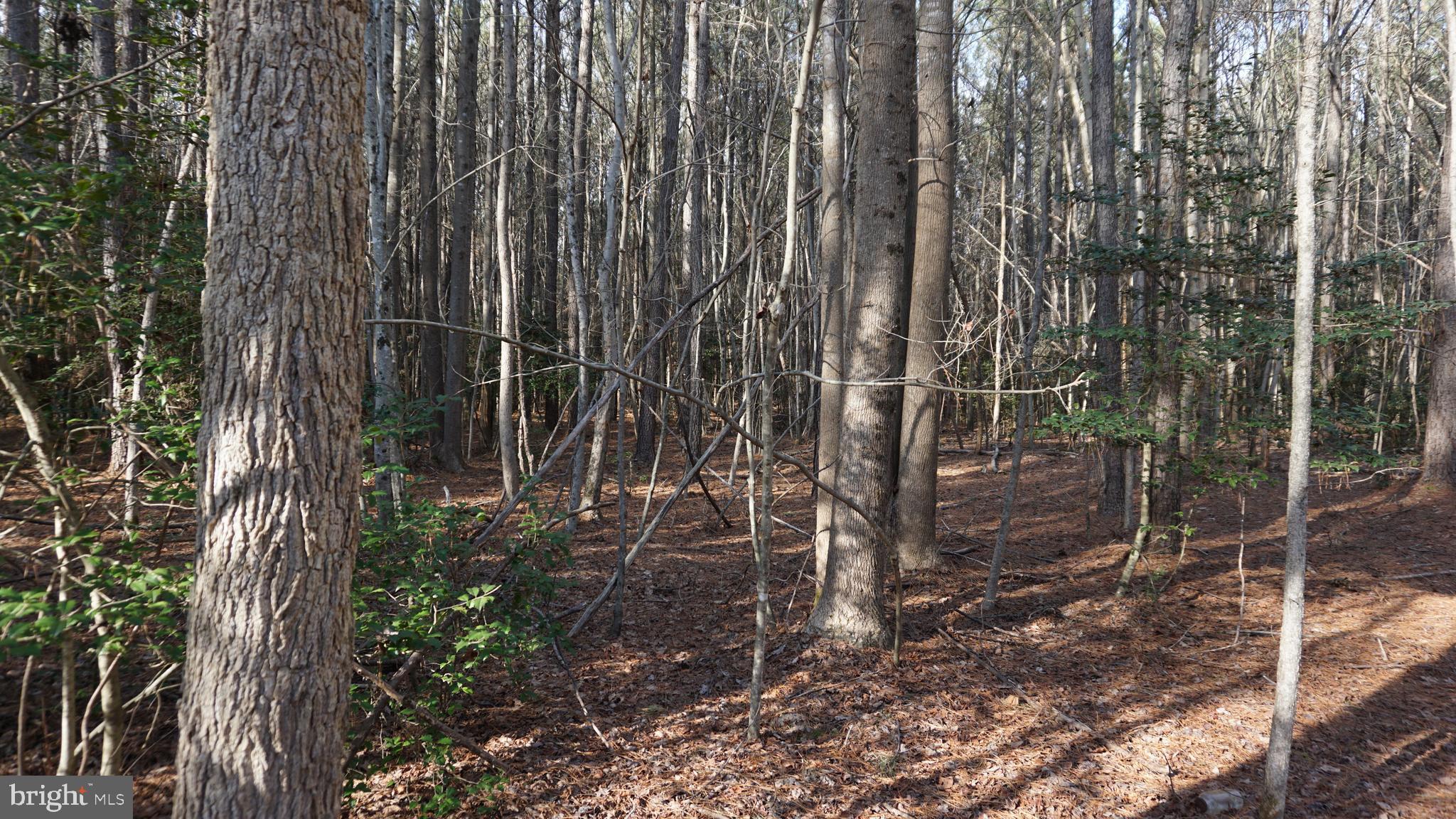 SHILOH CHURCH RD LOT 3