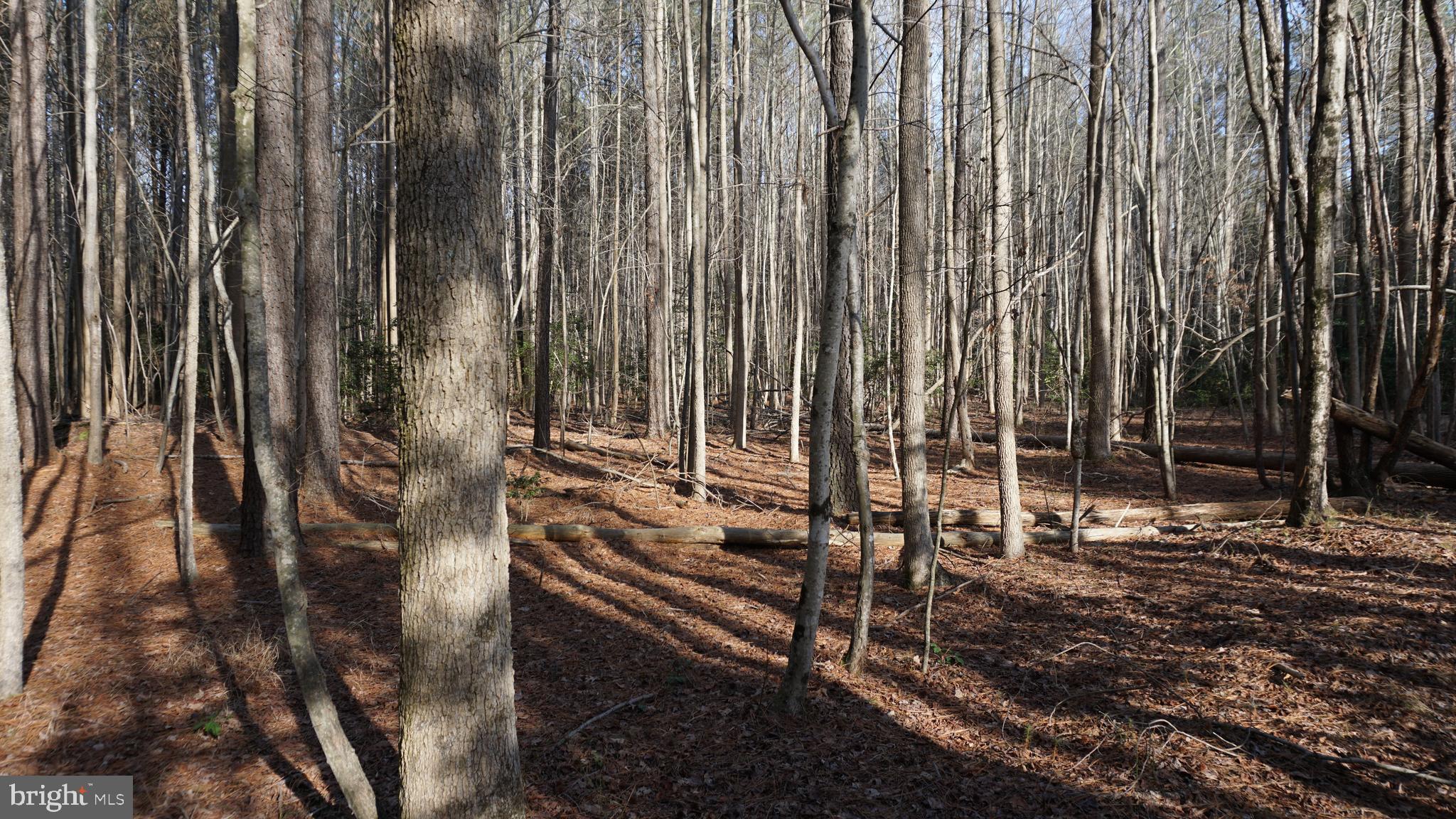 SHILOH CHURCH RD LOT 3