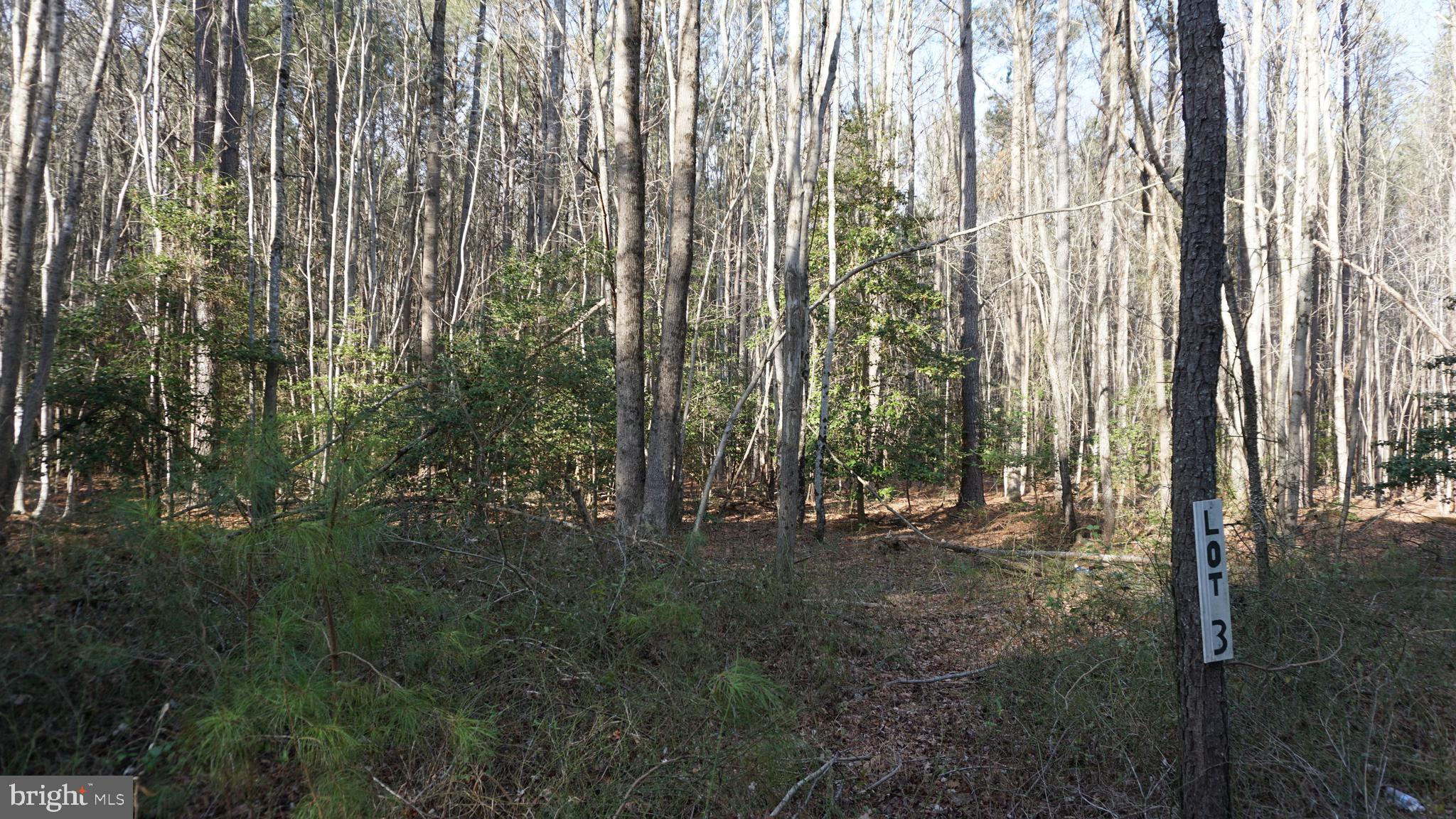 SHILOH CHURCH RD LOT 3