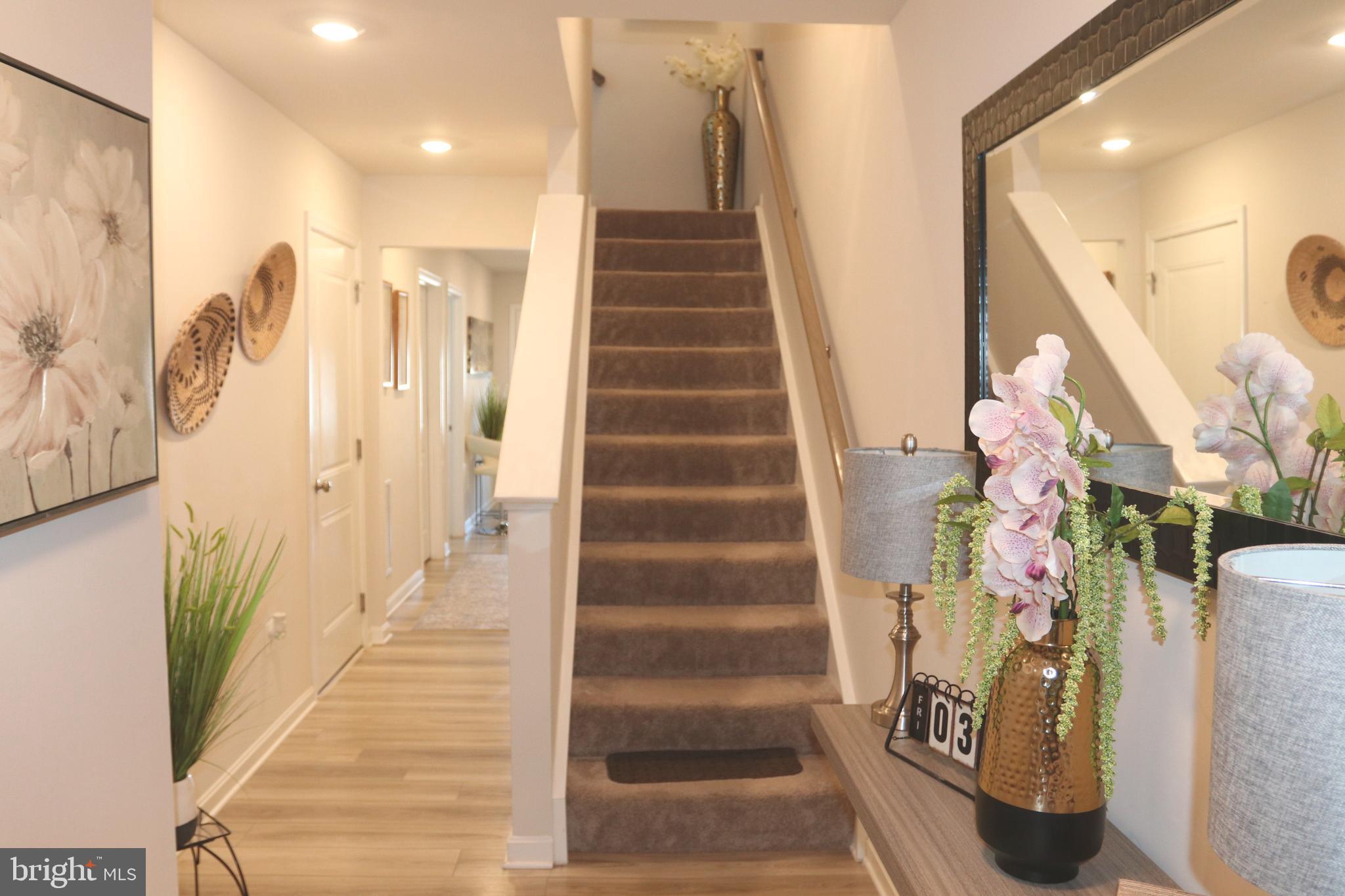 NORBORNE GLEBE - Residential