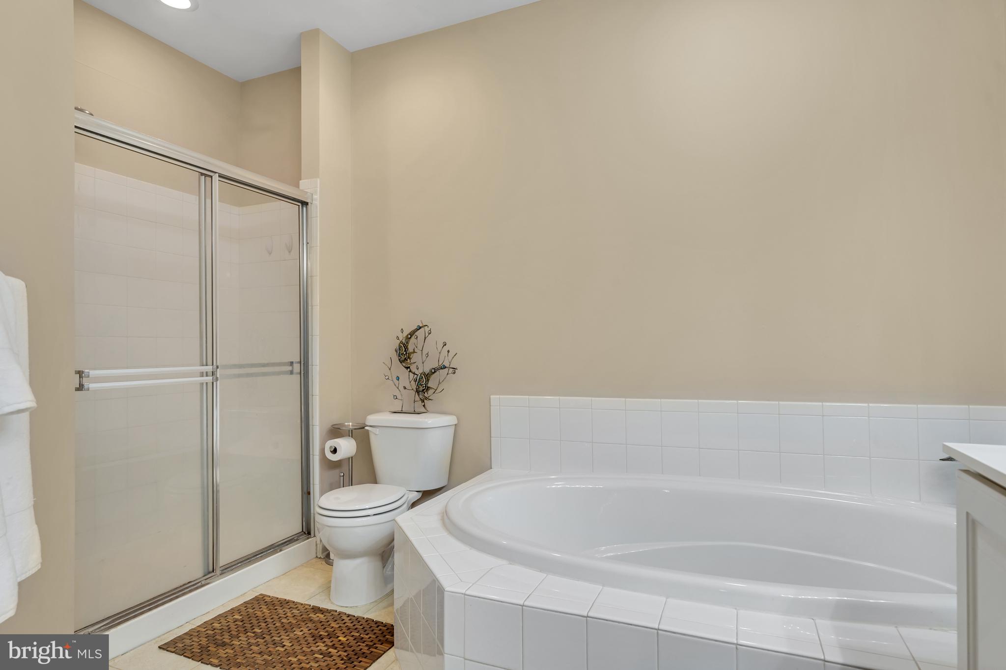 VILLAGE OF BRANDYWINE - Residential