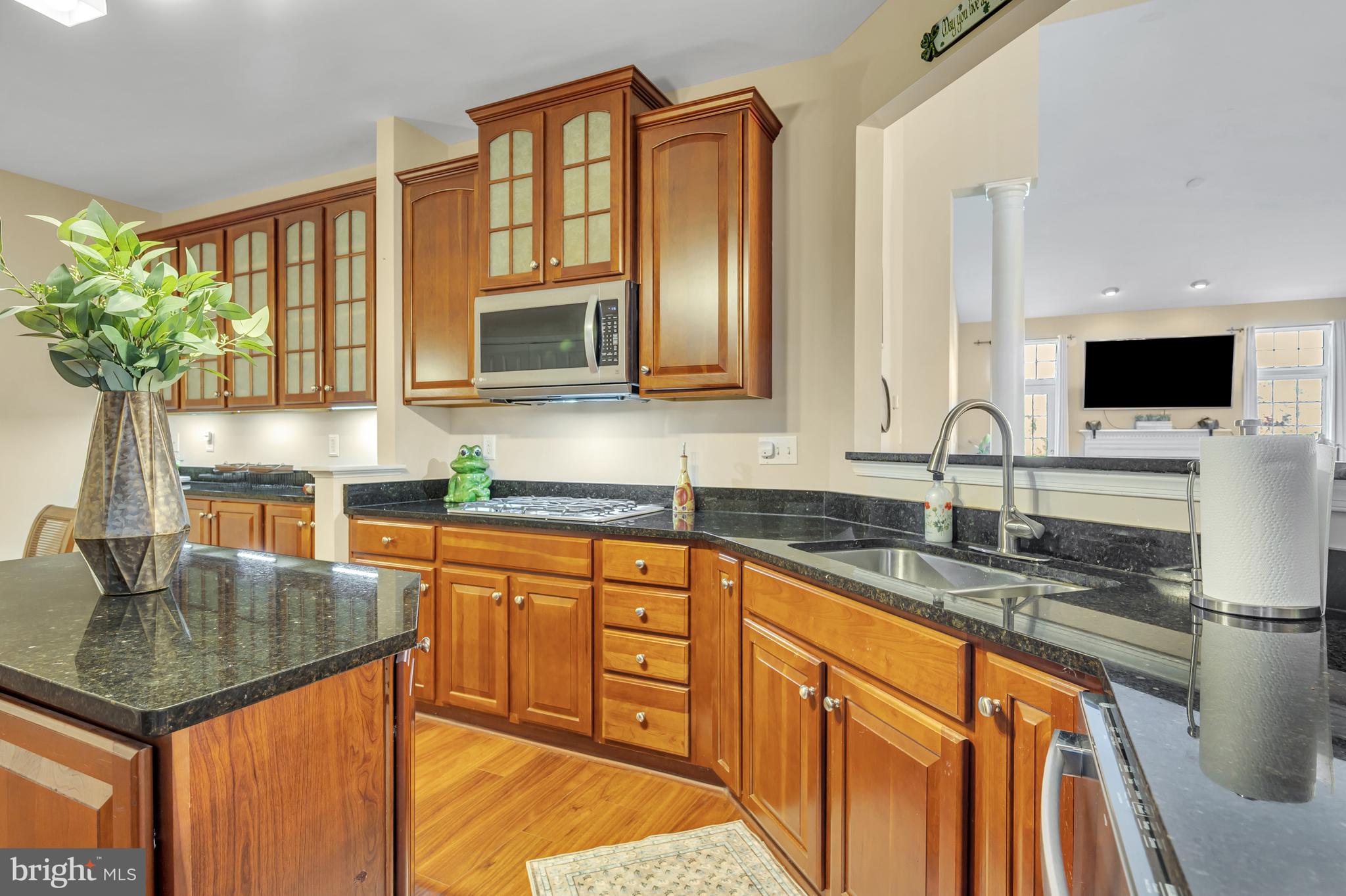 VILLAGE OF BRANDYWINE - Residential