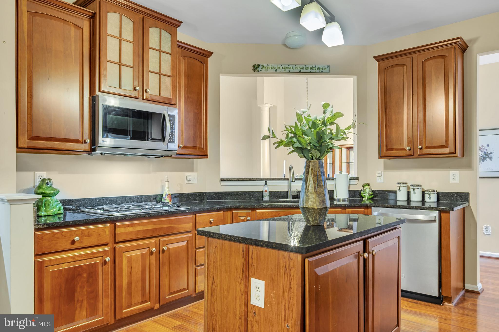 VILLAGE OF BRANDYWINE - Residential