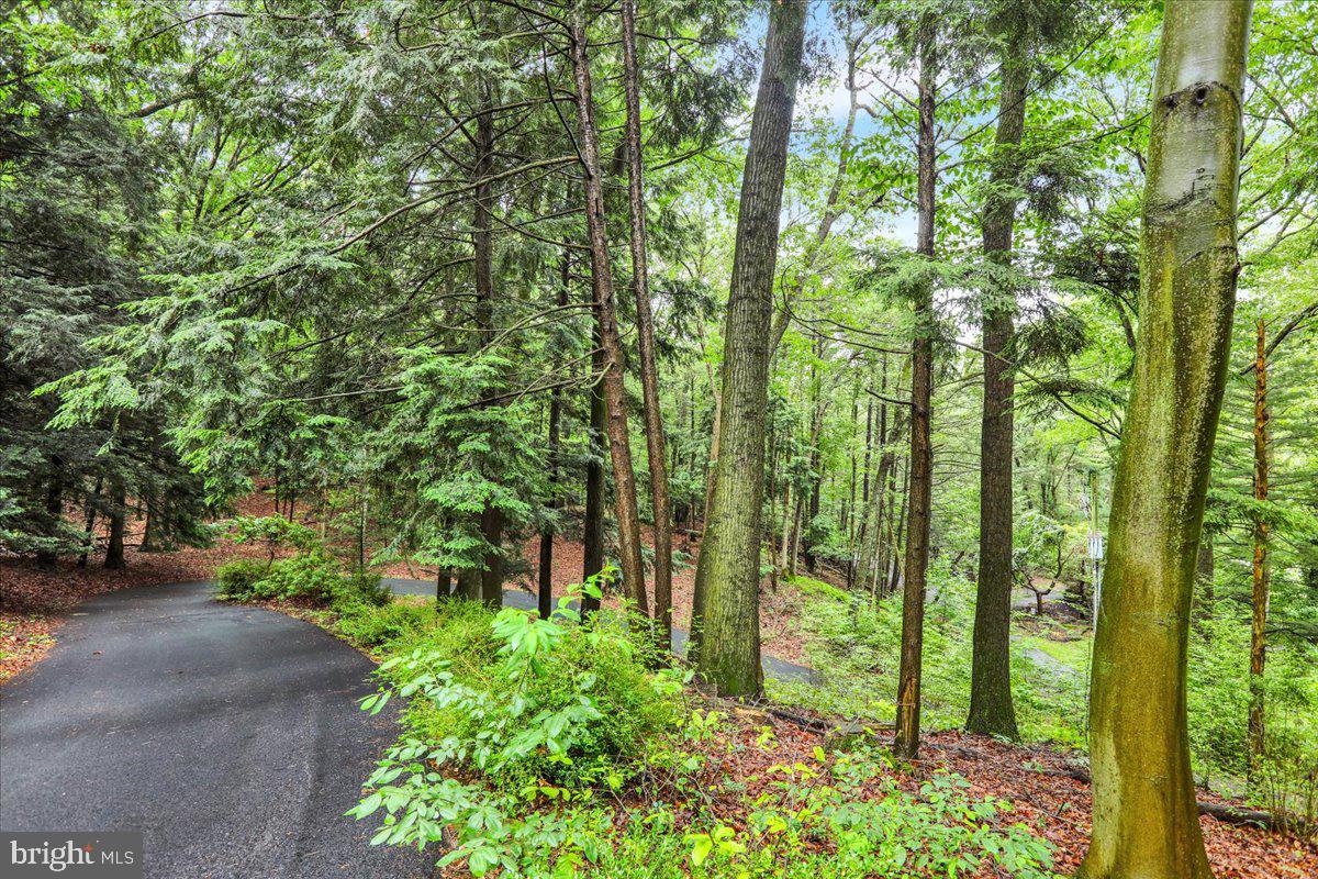 154 DEER HILL ROAD