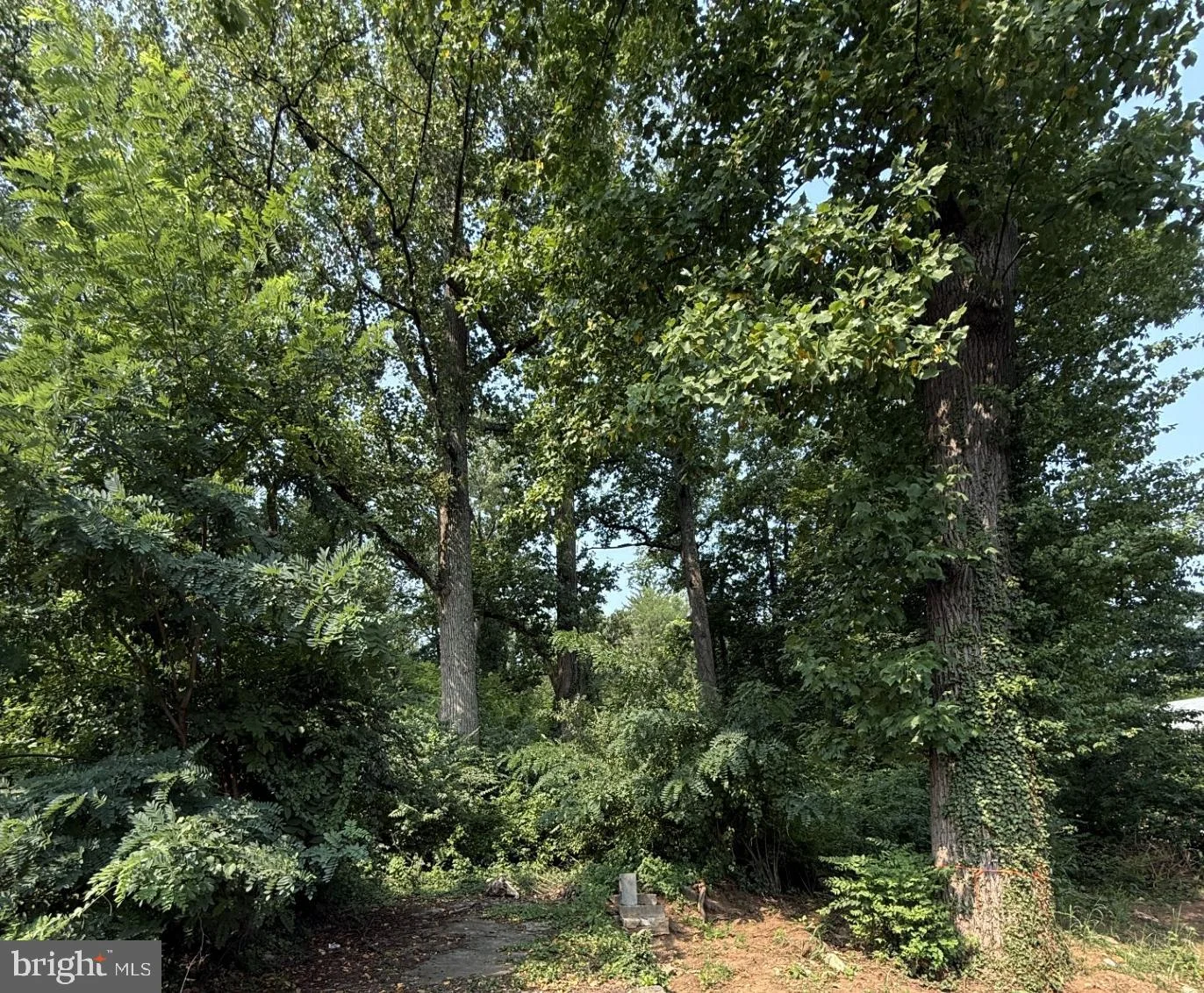 9300 Old Georgetown Road, Bethesda, MD 20814