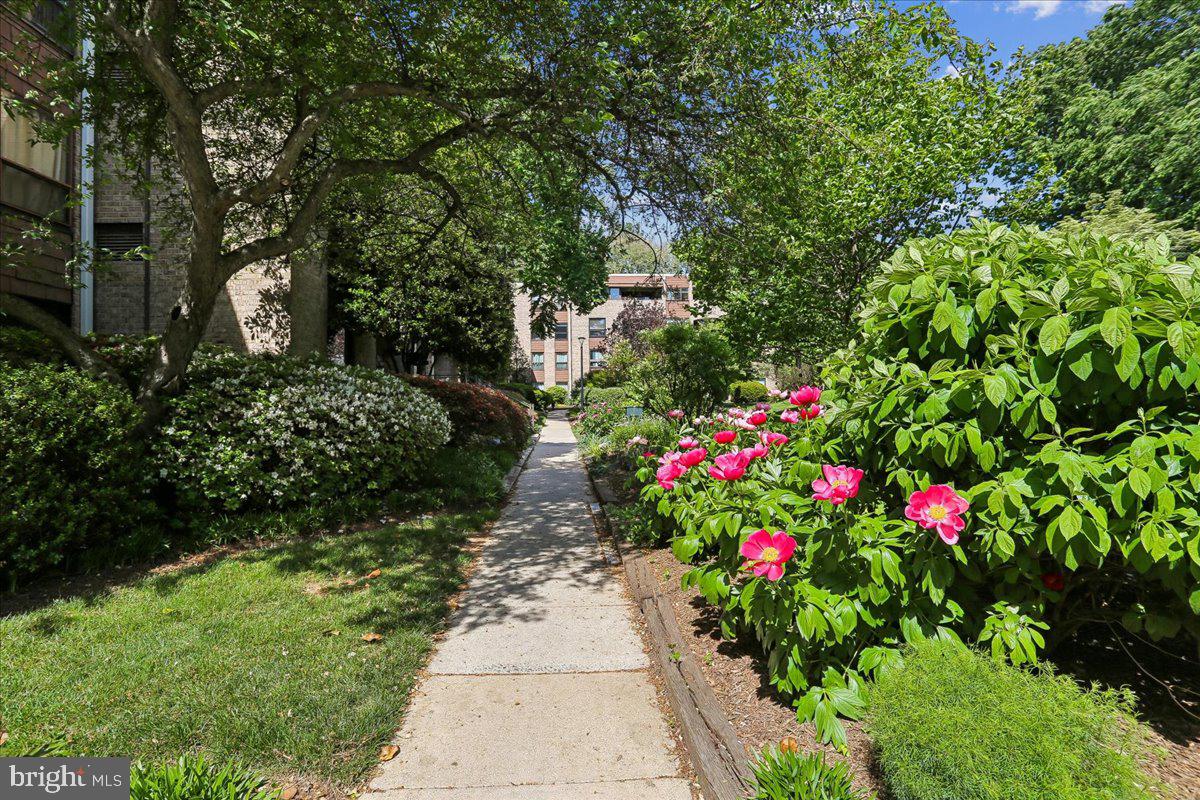 HYDE PARK - Residential