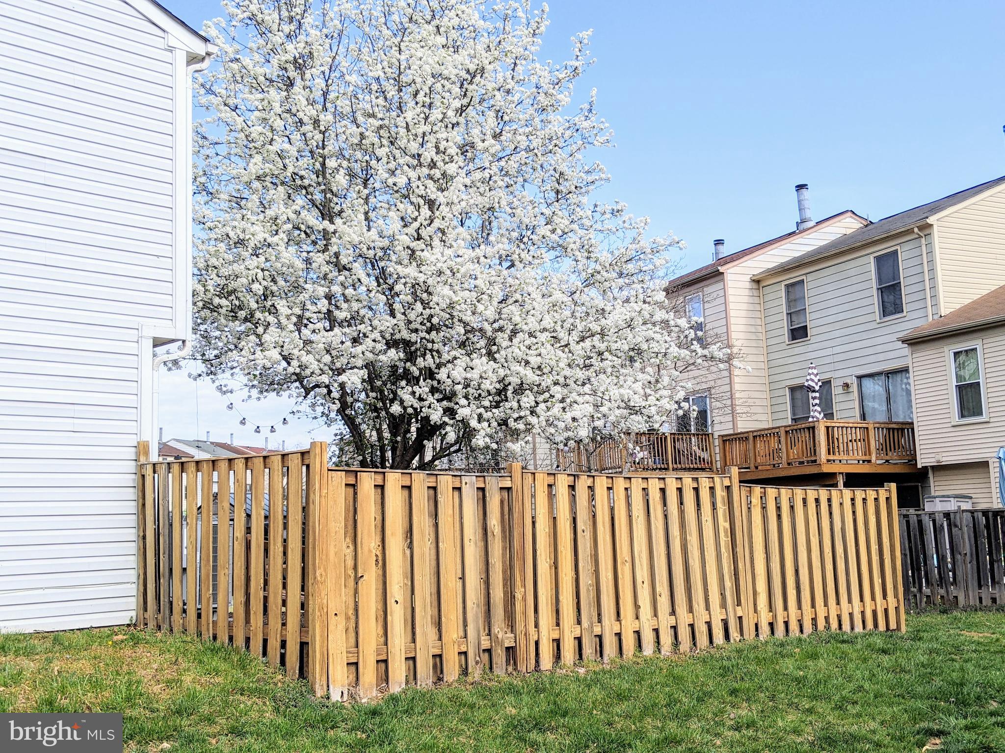 STONINGTON - Residential