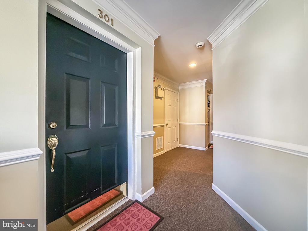 1506 MOORE STREET 301