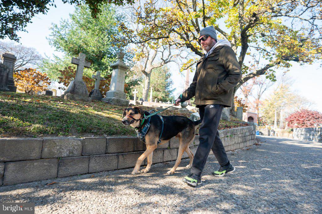 EAST FALLS - Residential