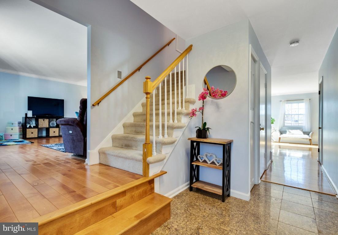 GREEN MEADOW - Residential