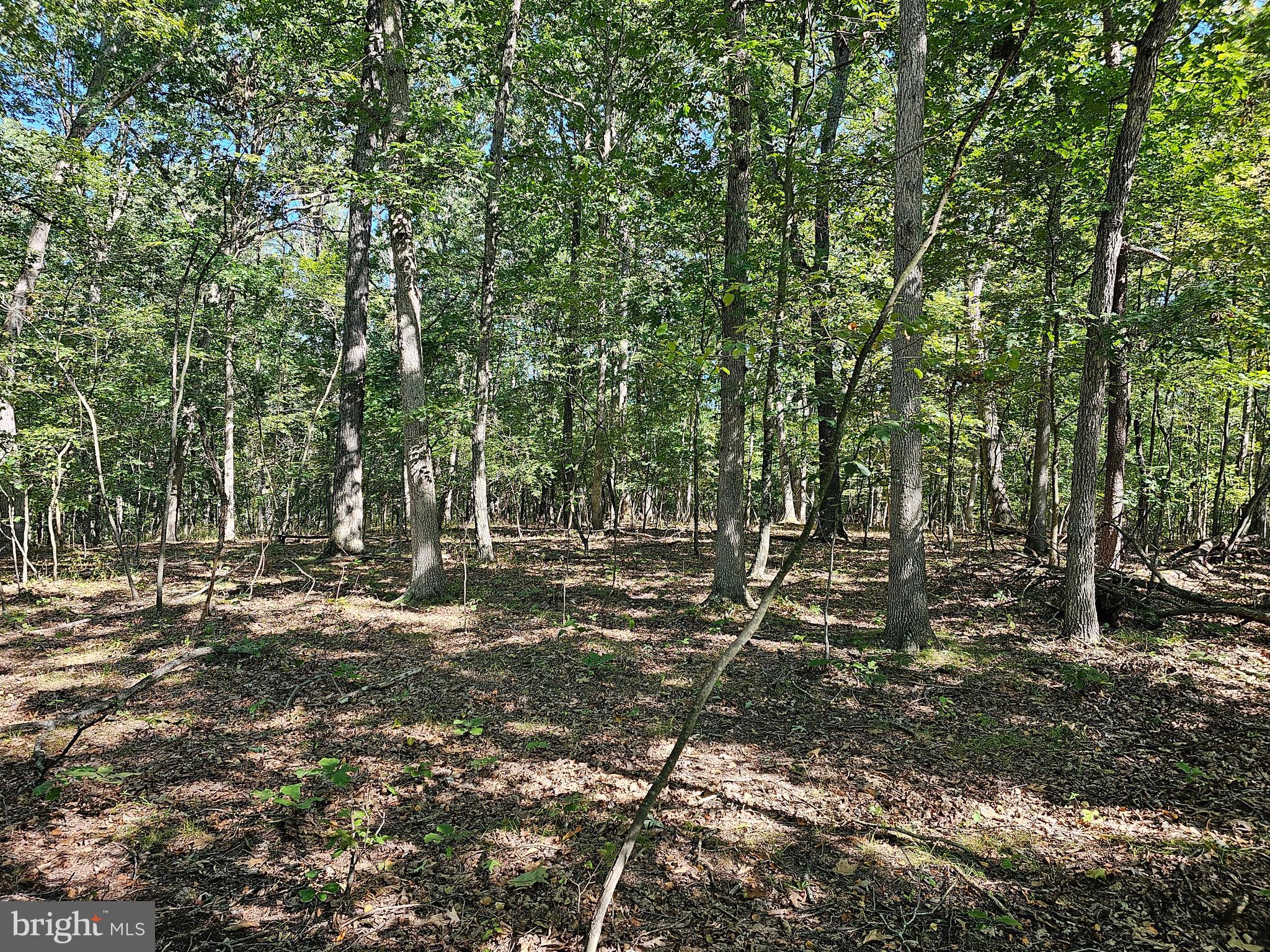 SLEEPY CREEK MT RETREAT - Land