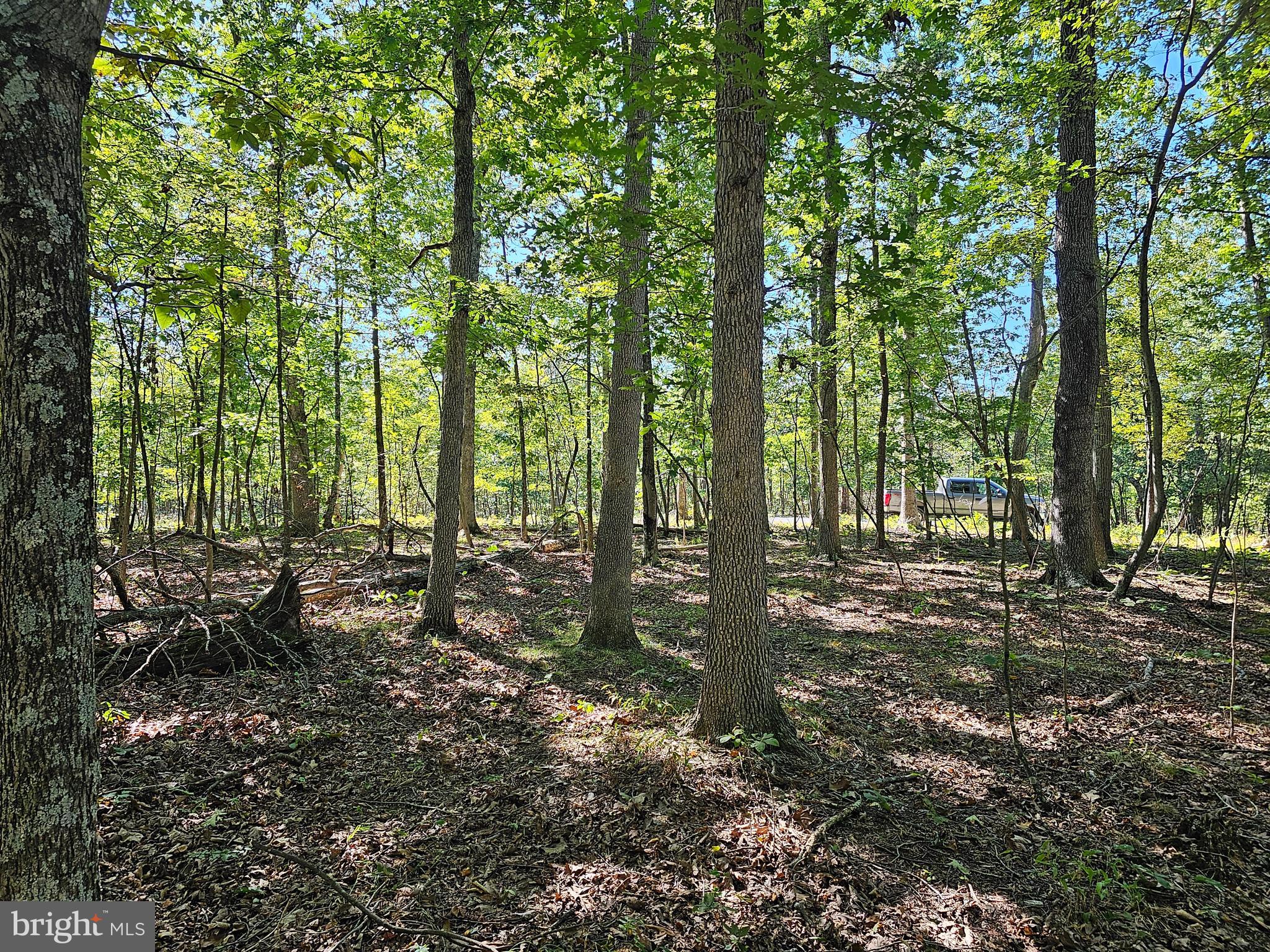 SLEEPY CREEK MT RETREAT - Land