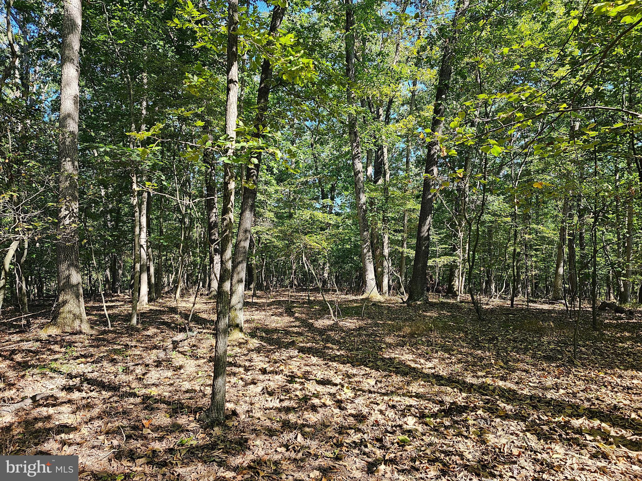 SLEEPY CREEK MT RETREAT - Land