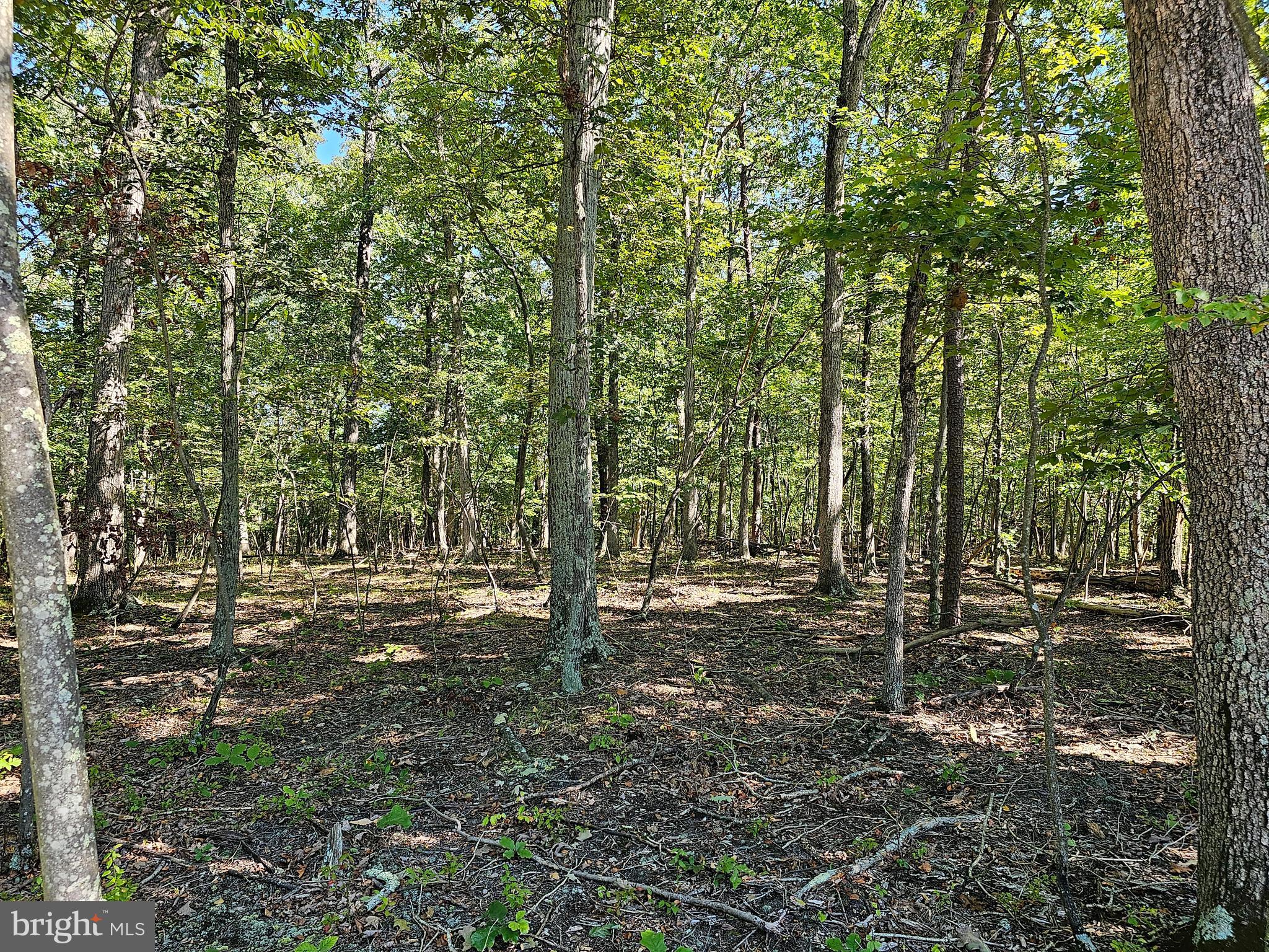SLEEPY CREEK MT RETREAT - Land