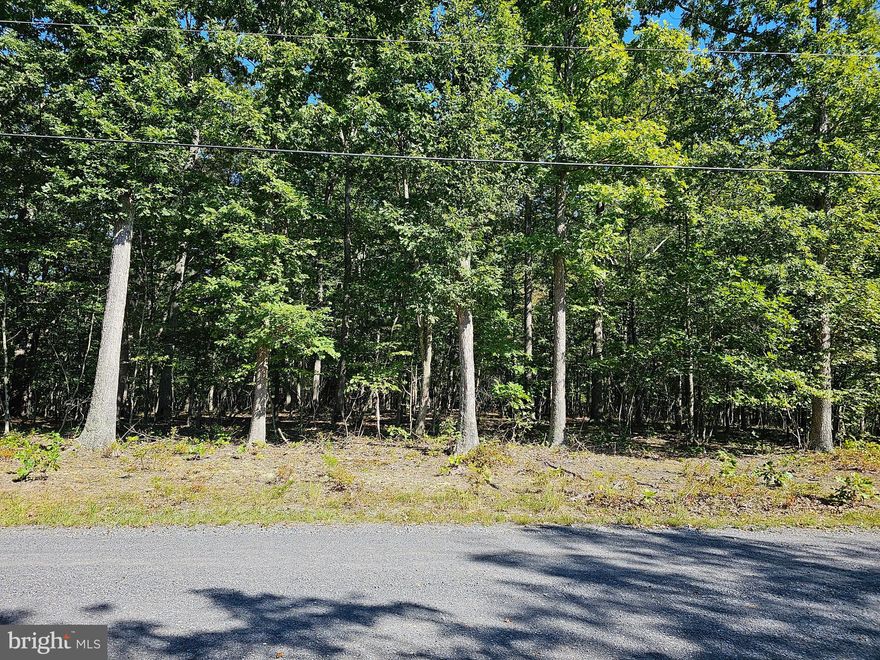 BUILDING LOT don't miss this wooded 2.96 acre lot in a nice subdivision. Come build your full or part time residence. All wooded lot allows for you to keep some privacy. This lot is only a couple miles from public access to the Potomac River for fishing, boating & swimming. This one will most likely go fast. Perc on file.