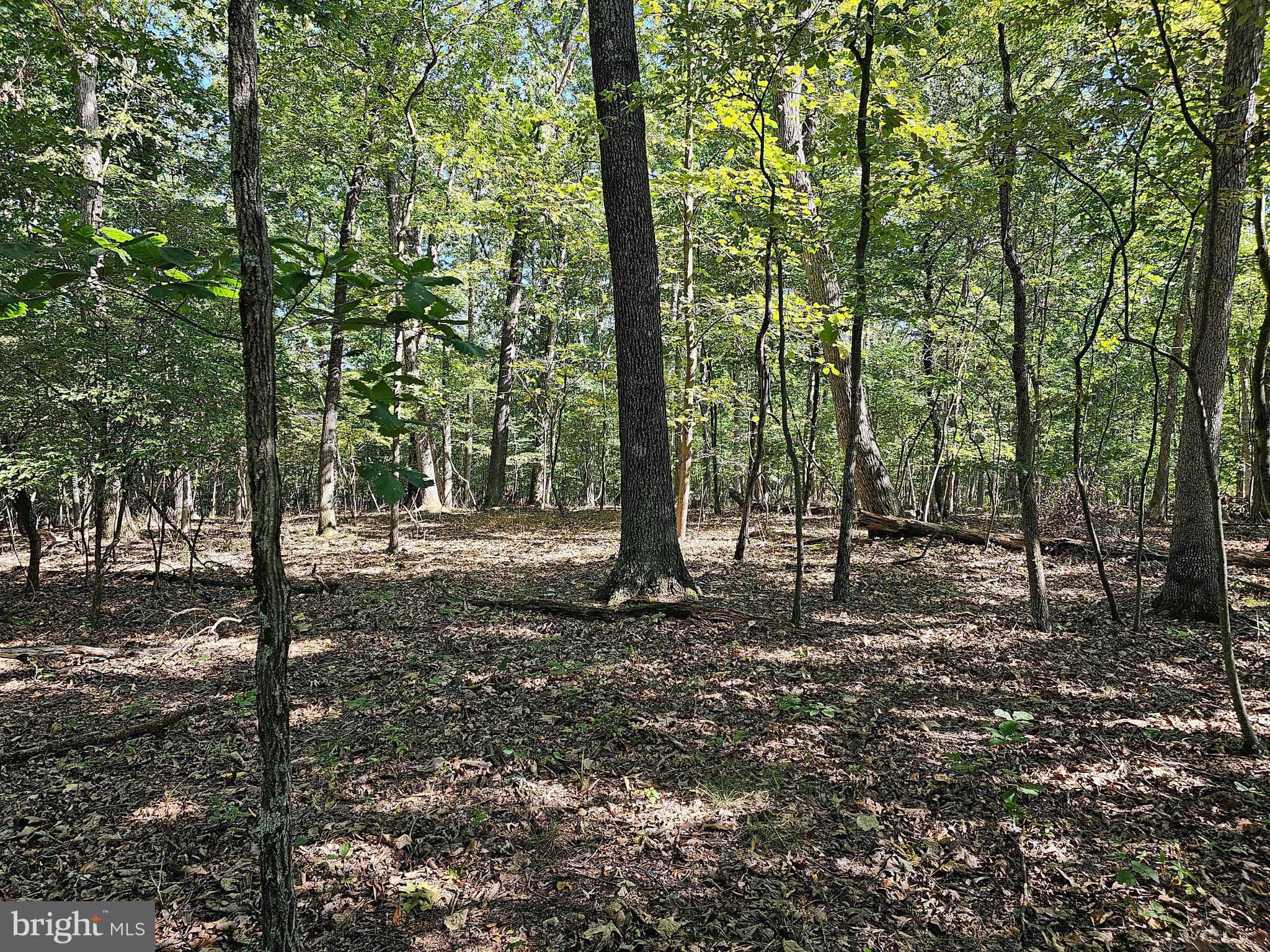 SLEEPY CREEK MT RETREAT - Land