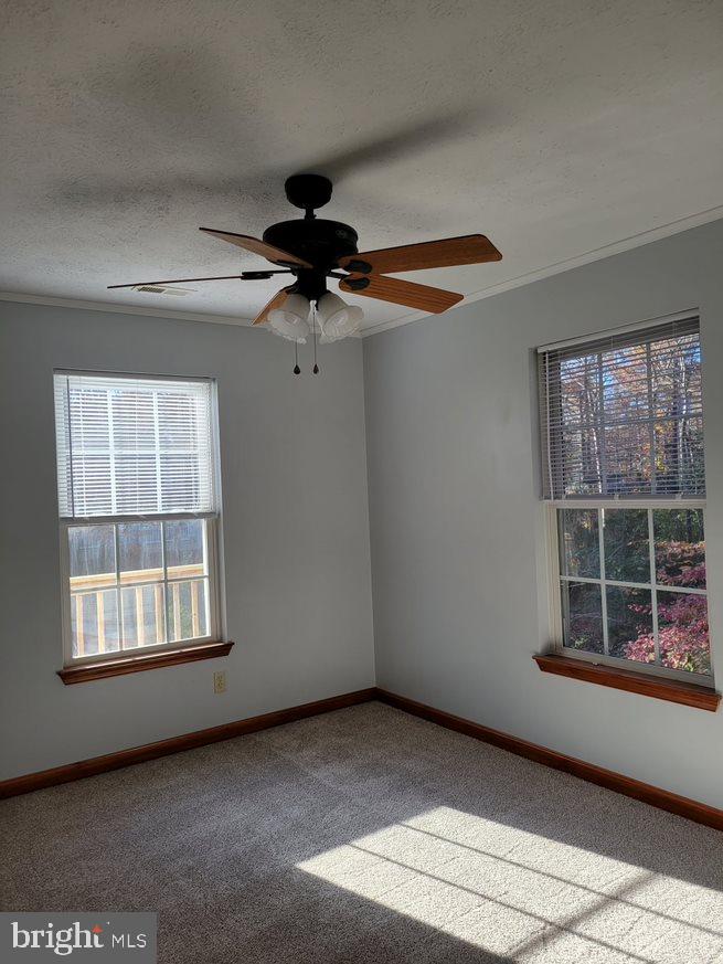 CHESAPEAKE RANCH ESTATES - Residential