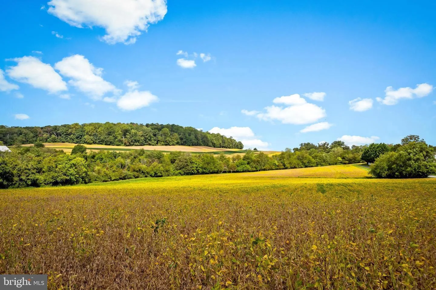 Additional image 68 of 105 Warfieldsburg Road, Westminster, MD 21157